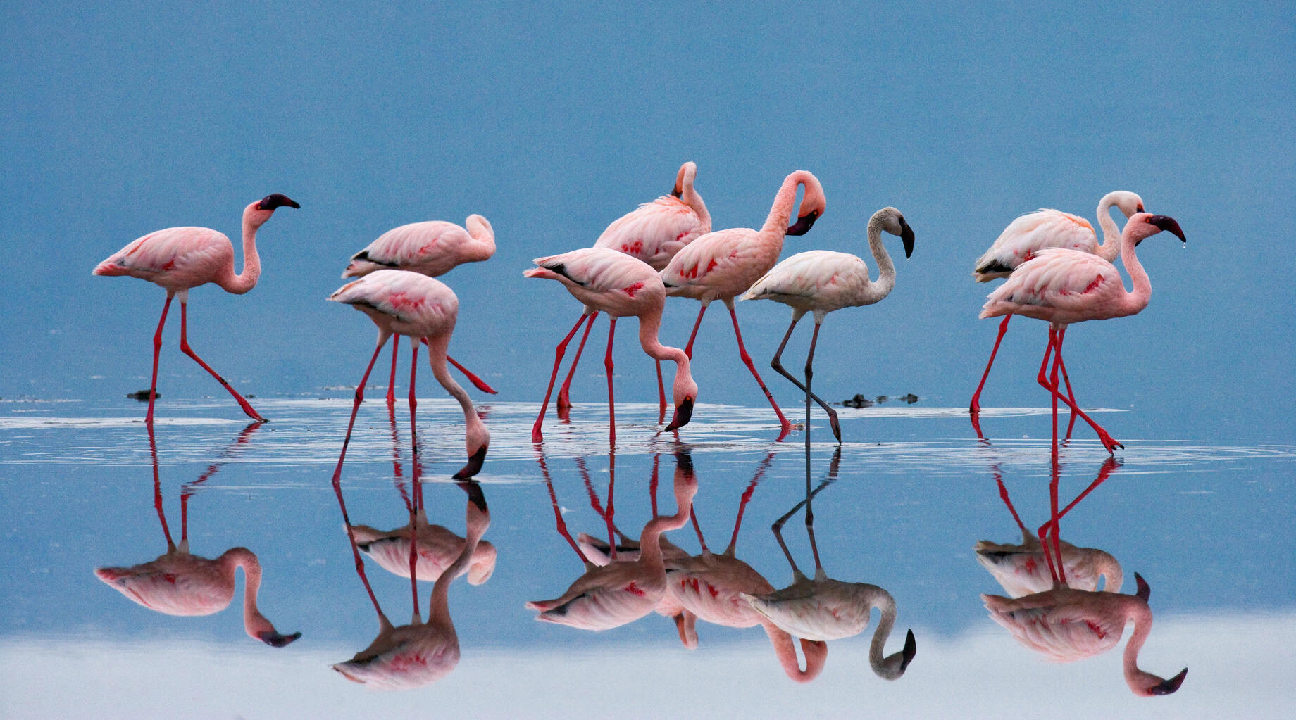 10-Best-Things-To-Do-In-Nakuru-Kenya 10-best-things-to-do-in-nakuru-kenya