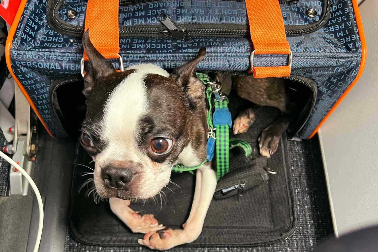 https://www.touristsecrets.com/wp-content/uploads/2023/09/12-amazing-airplane-dog-carriers-under-seat-for-2023-1695820937.jpeg