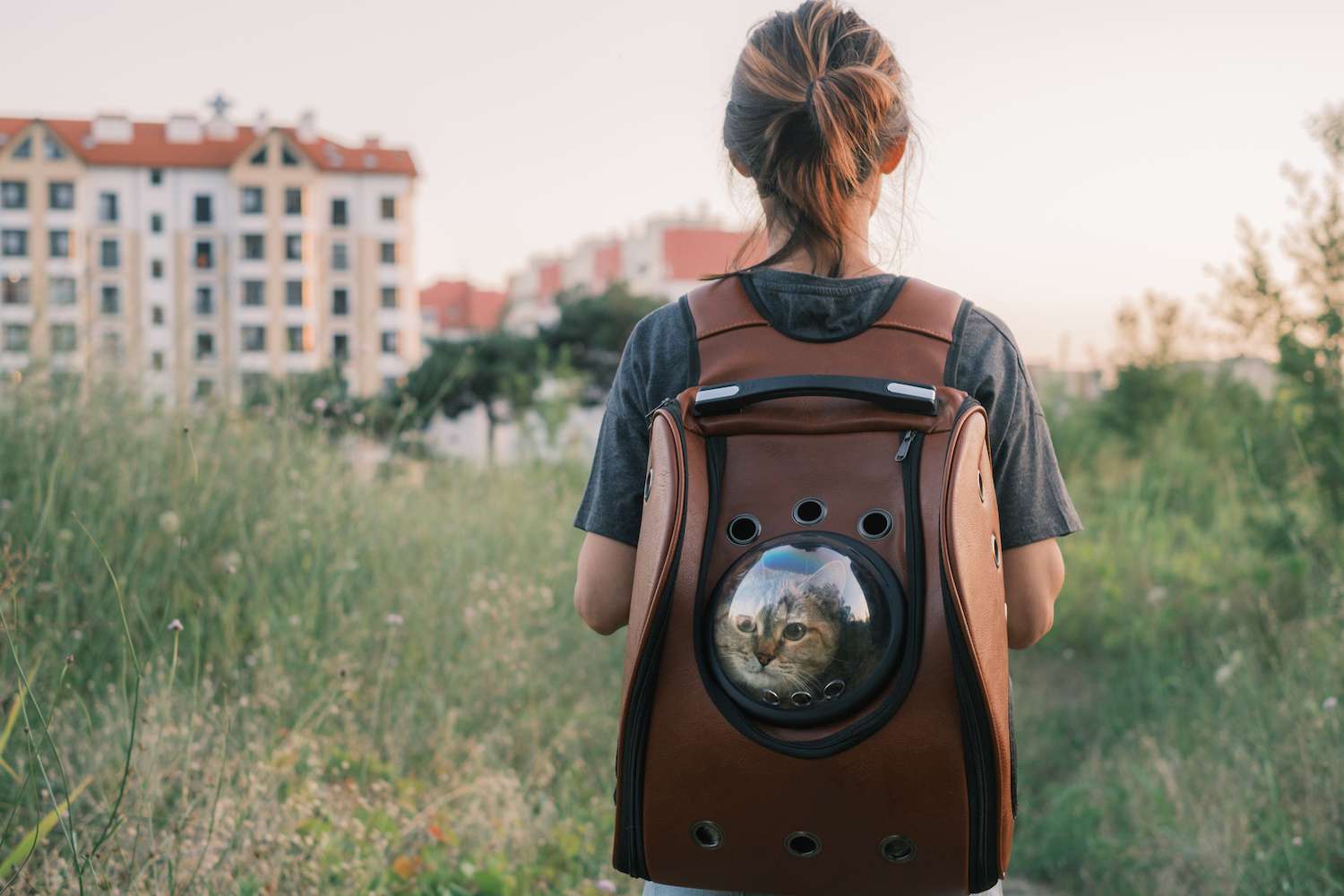12-Amazing-Cat-Carrier-Bag-for-2023 12-amazing-cat-carrier-bag-for-2023