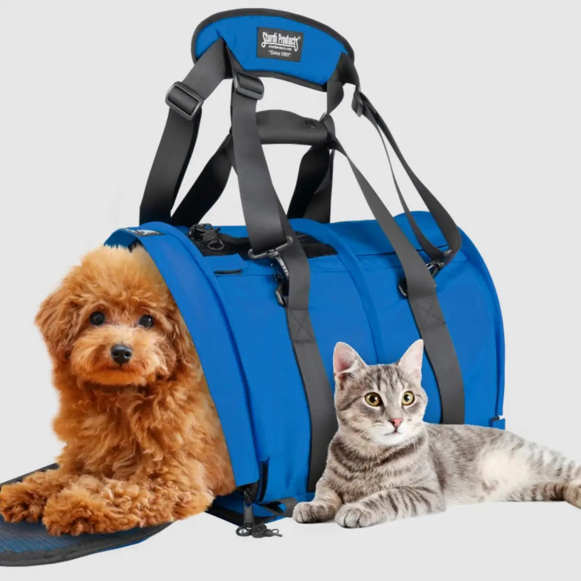 12-Amazing-Puppy-Carrier-Bag-for-2023 12-amazing-puppy-carrier-bag-for-2023