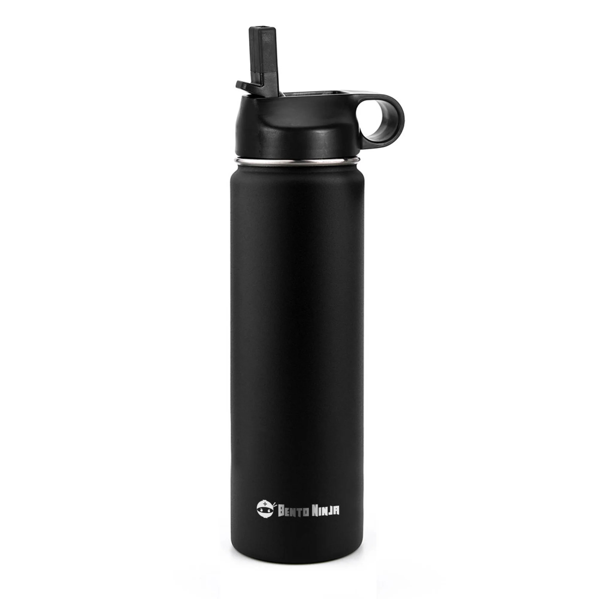 IRON FLASK Straw Lid for Narrow Standard Mouth Insulated Sports Water  Bottles, Standard Mouth, BPA Free, 2 Lids, 4 Straws, 2 Cleaning Brushes  Midnight Black