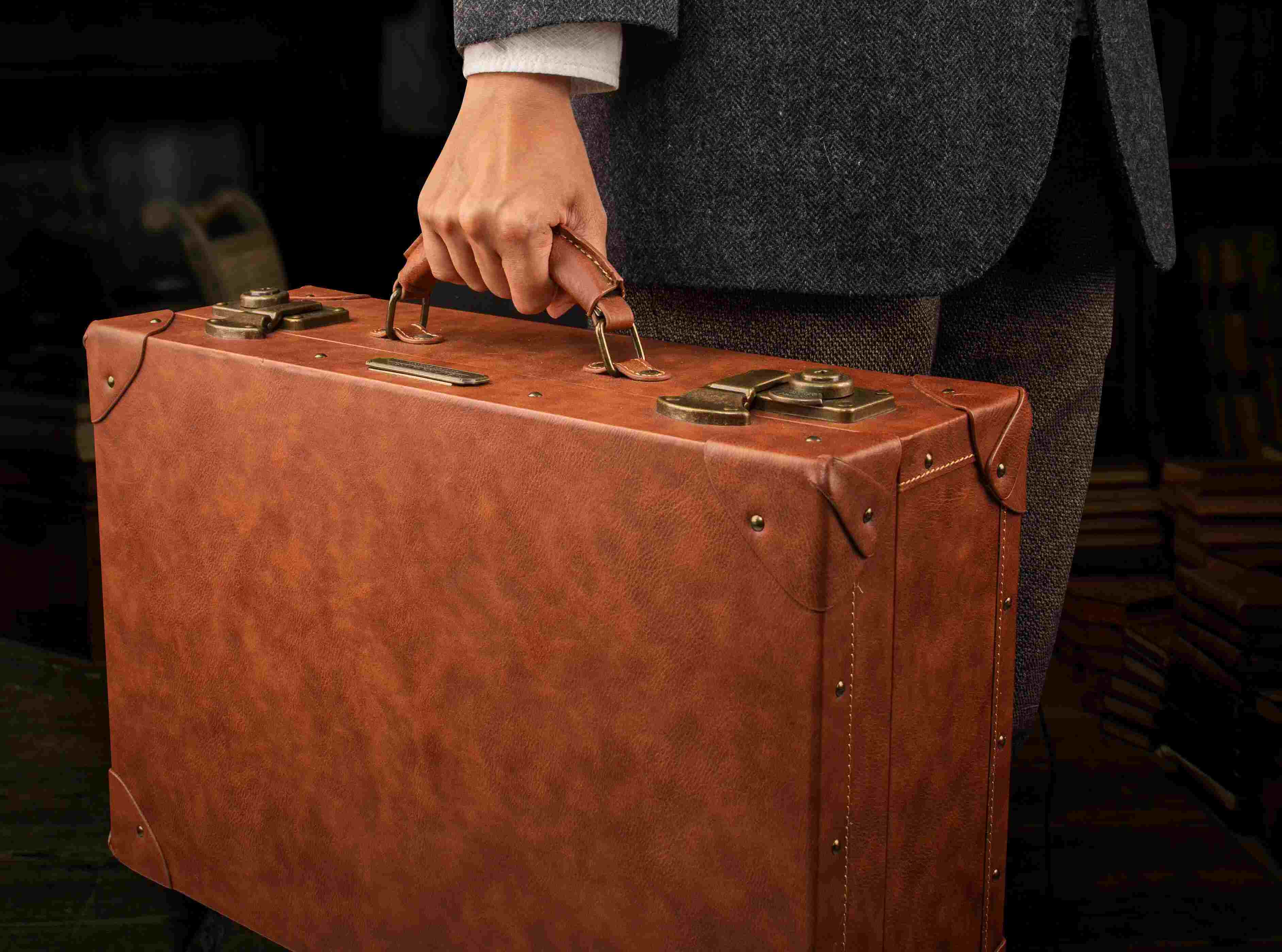 14 Amazing Newt Scamander Suitcase for 2023 | TouristSecrets