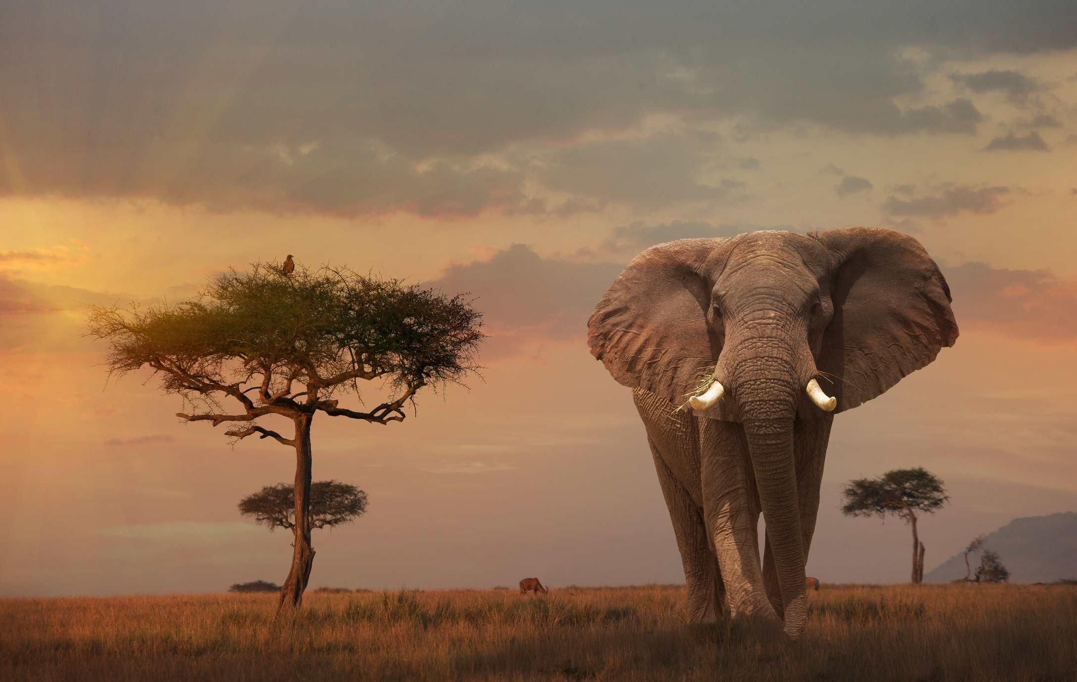 15-Best-Game-Reserves-And-Safari-Parks-In-Kenya 15-best-game-reserves-and-safari-parks-in-kenya