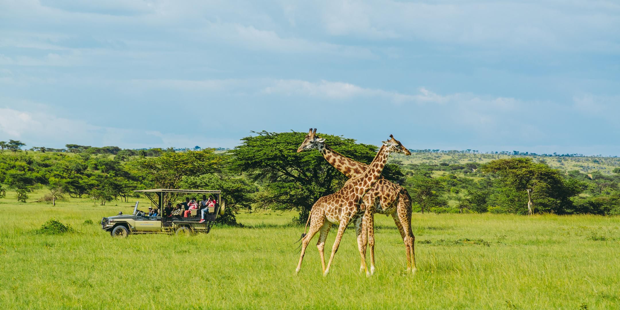 20-Best-Things-To-Do-In-Kenya 20-best-things-to-do-in-kenya