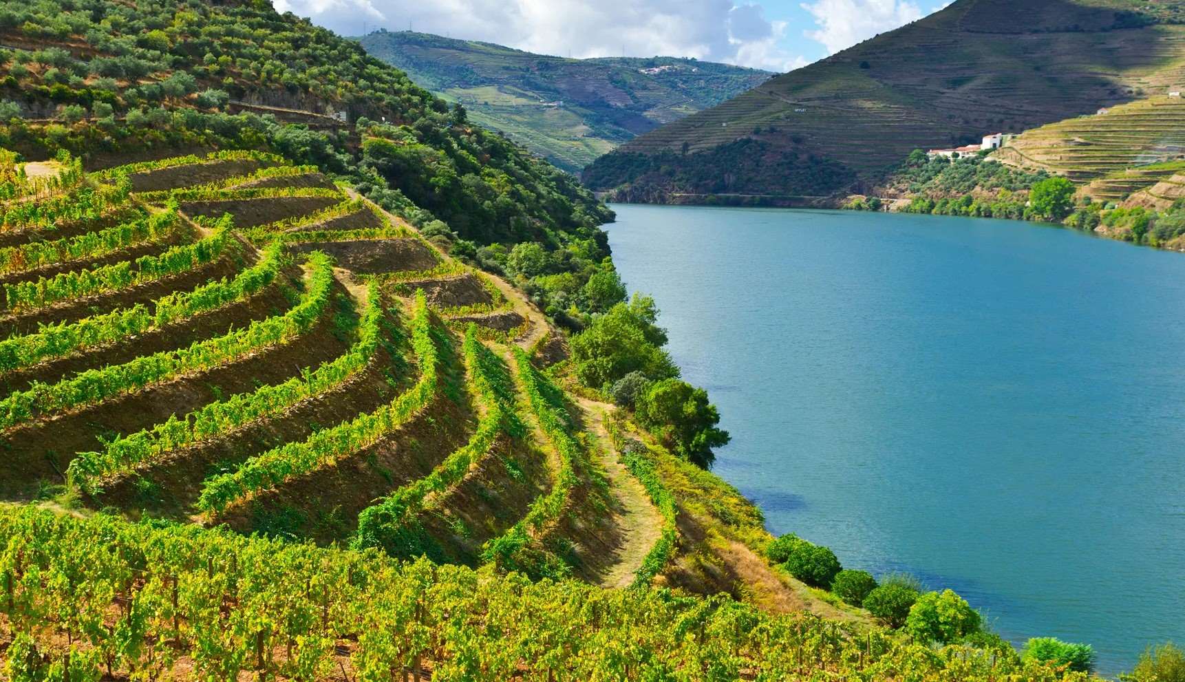 a-long-weekend-in-porto-and-the-douro-northern-portugal