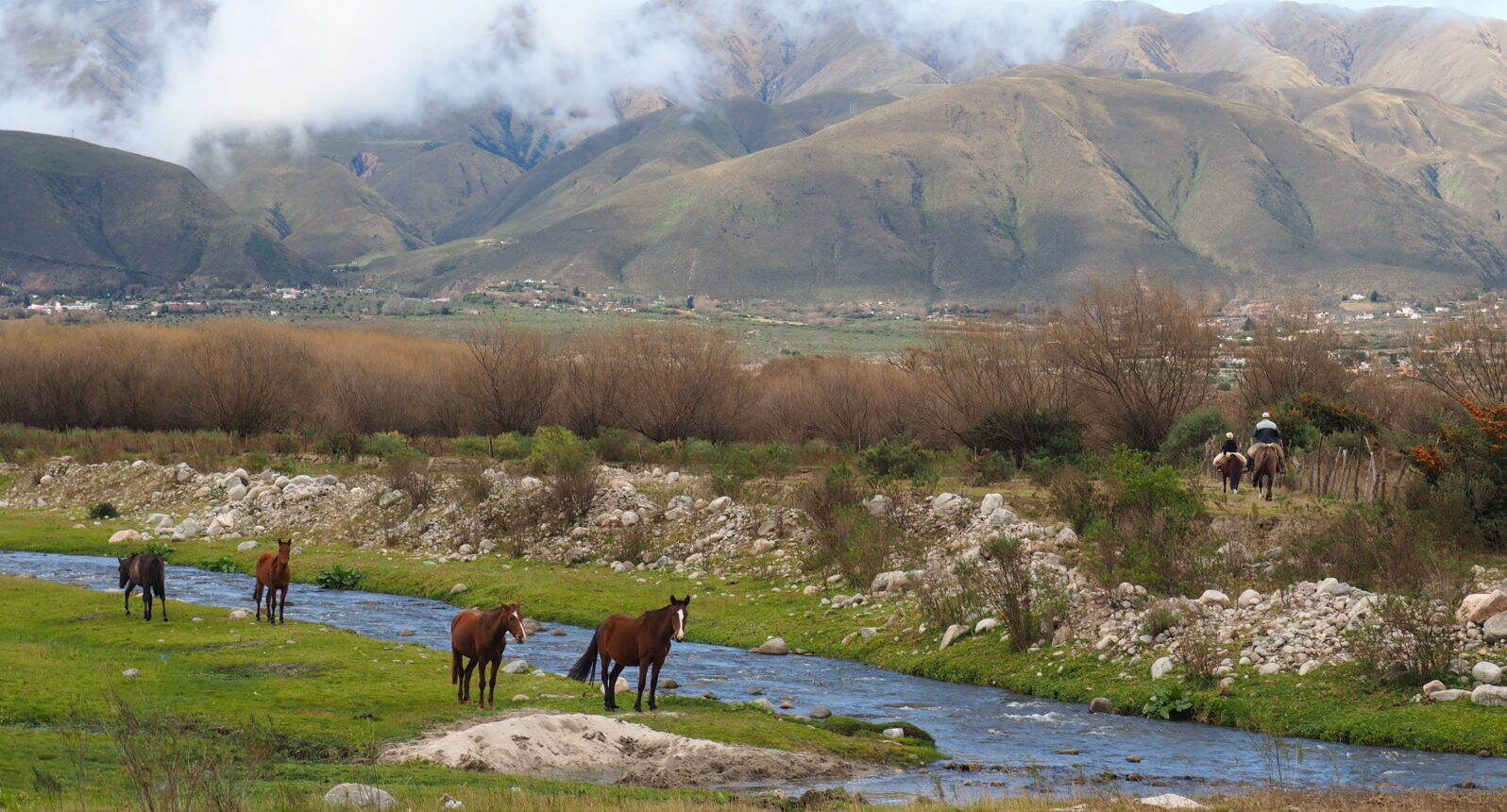 A-Short-Guide-To-Tafi-Del-Valle a-short-guide-to-tafi-del-valle
