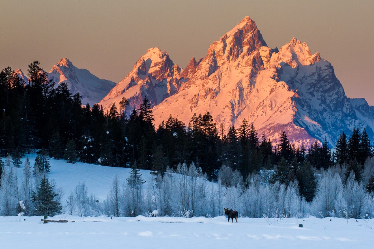 A-Story-About-Winter-In-Grand-Teton a-story-about-winter-in-grand-teton