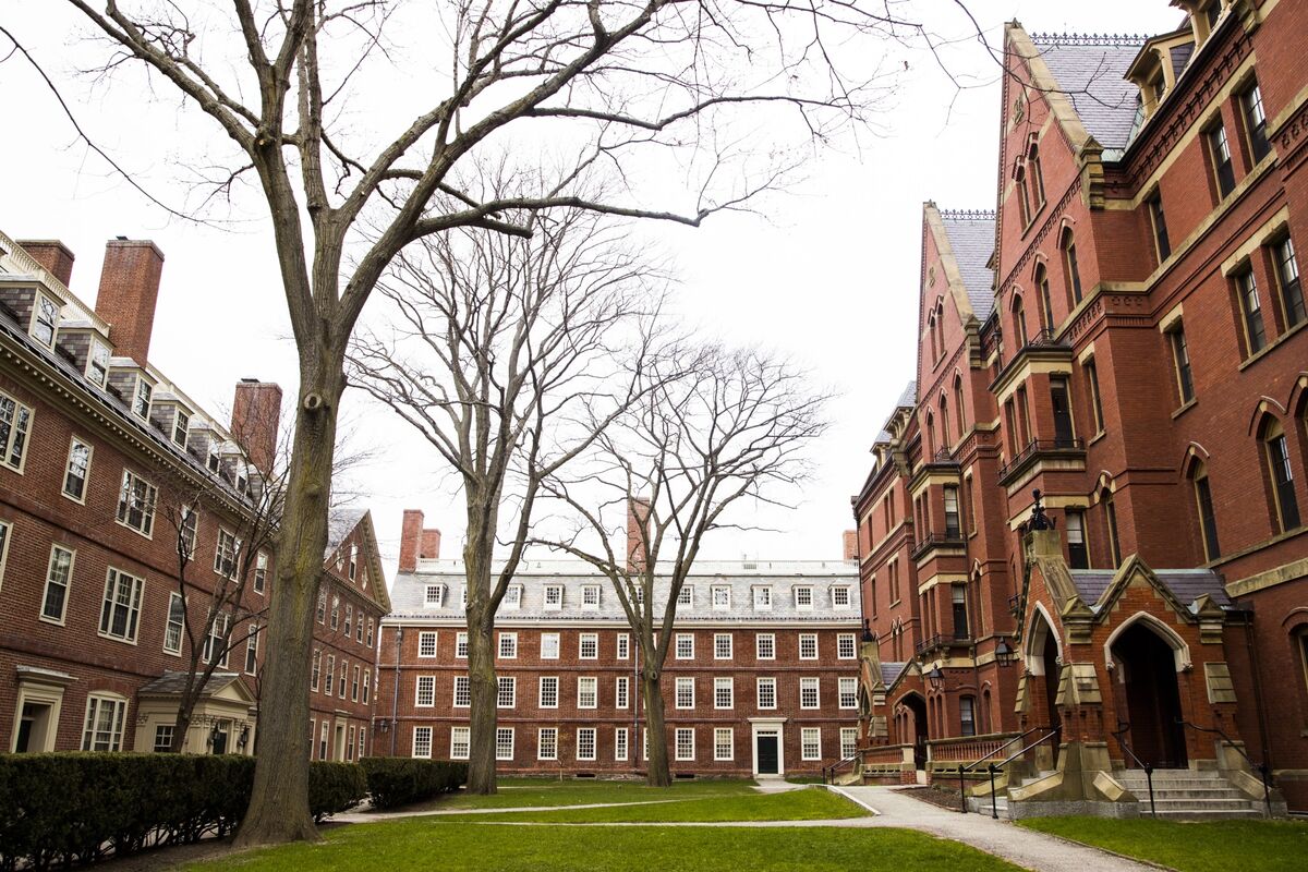 An-Afternoon-Exploring-Harvard-University-Massachusetts an-afternoon-exploring-harvard-university-massachusetts