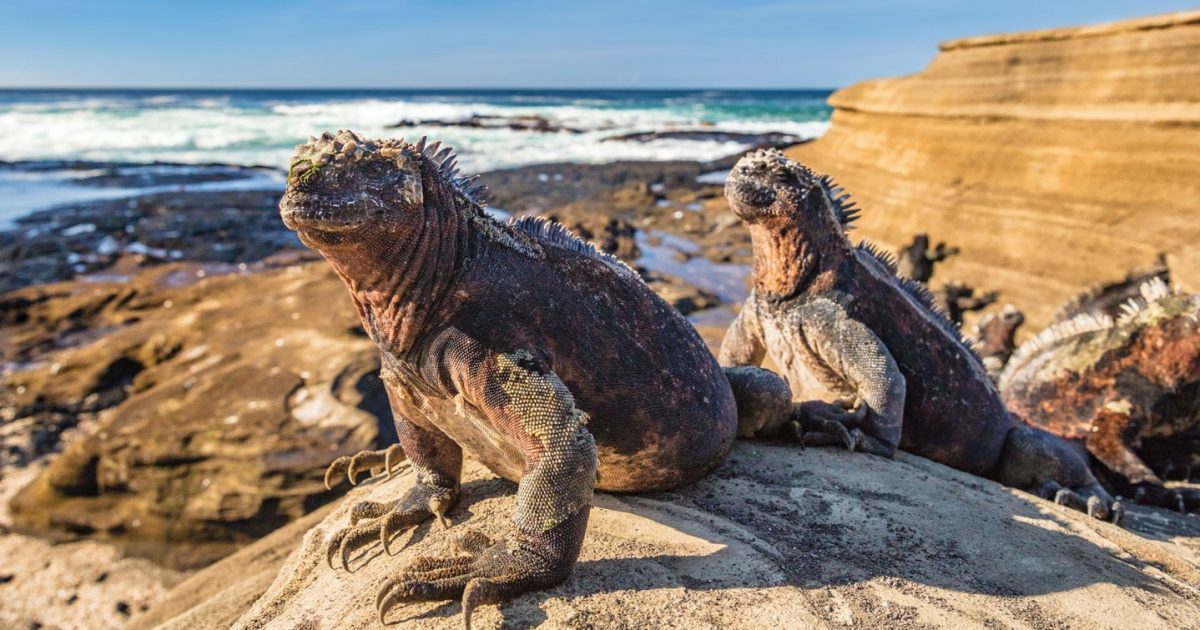 An-Easy-Galápagos-Packing-List an-easy-galapagos-packing-list