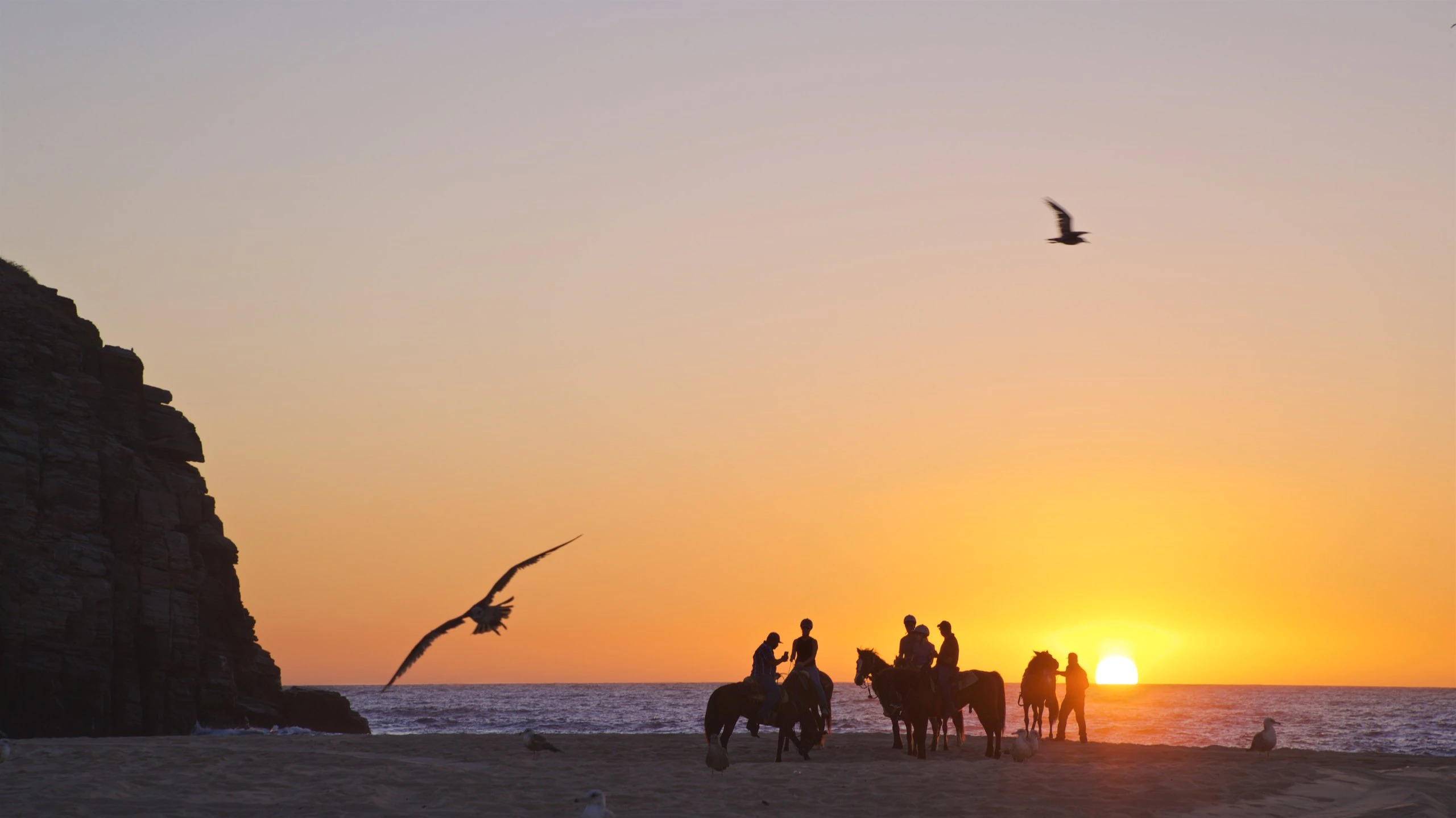 Baja-Beaches-The-Best-Sun-Spots-Near-La-Paz-And-Todos-Santos baja-beaches-the-best-sun-spots-near-la-paz-and-todos-santos