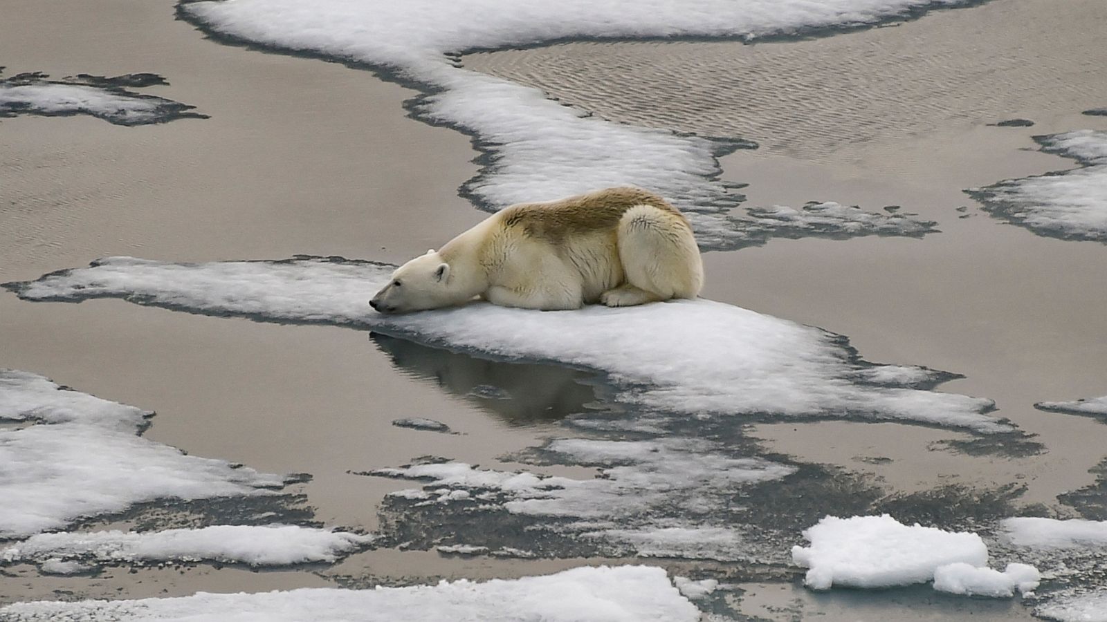 Before-They’re-Gone-Landscapes-Affected-By-Climate-Change before-theyre-gone-landscapes-affected-by-climate-change