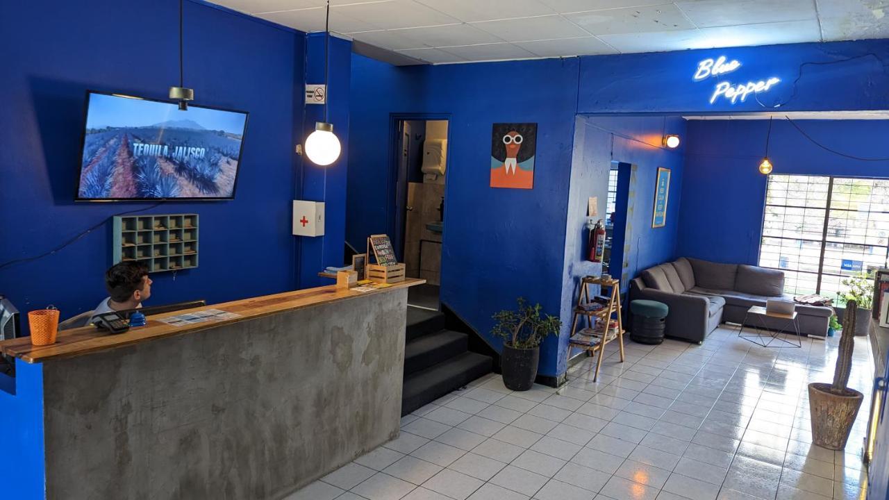 Blue-Pepper-Chapultepec-Guadalajara-8211-Hostel-Review blue-pepper-chapultepec-guadalajara-hostel-review