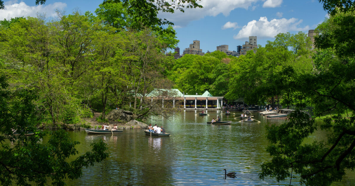 Boating-Across-Central-Park-In-New-York boating-across-central-park-in-new-york