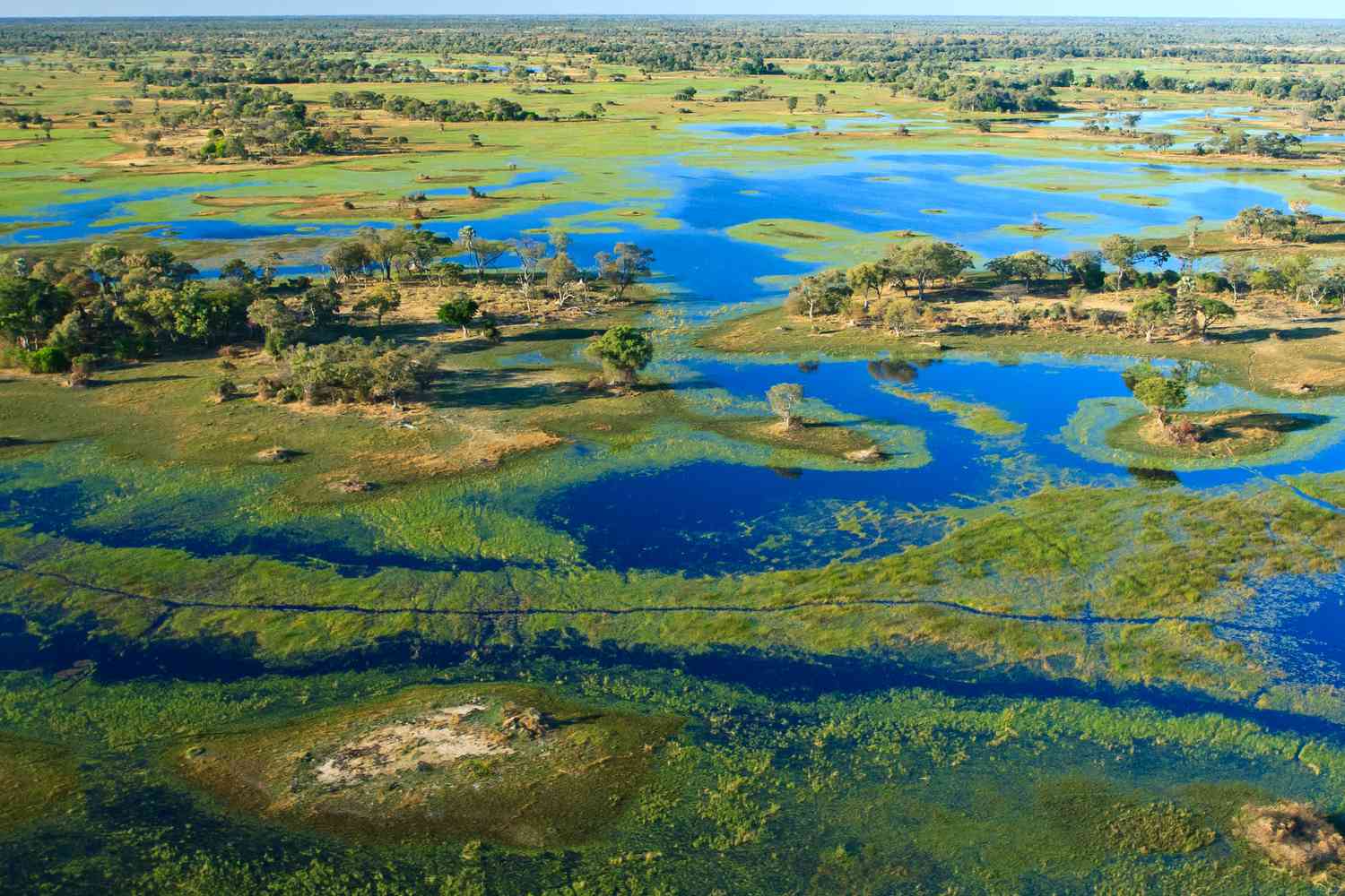 Botswana-Guide-8211-Be-My-Travel-Muse botswana-guide-be-my-travel-muse