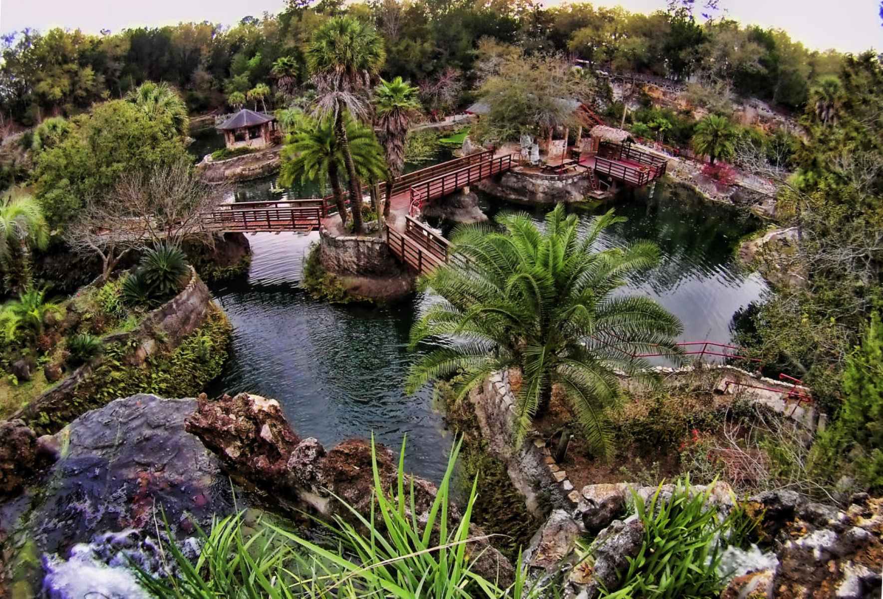 cedar-lakes-woods-gardens-williston-florida