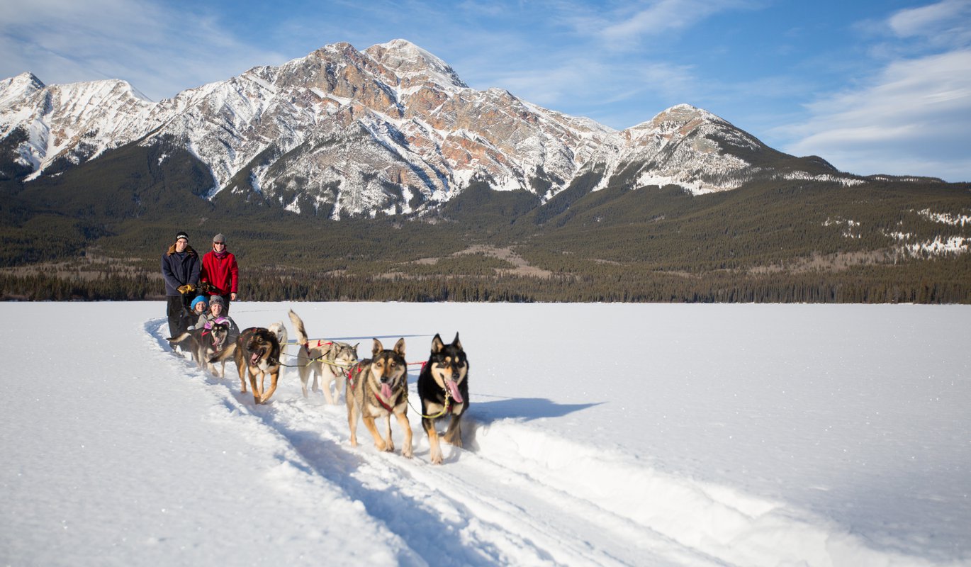 Dog-Sledding-In-Jasper-And-Ice-Hockey-In-Edmonton-Canada dog-sledding-in-jasper-and-ice-hockey-in-edmonton-canada