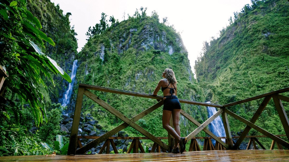 Dominica-Travel-Guide-Things-To-Do-Practicalities-Where-To-Stay dominica-travel-guide-things-to-do-practicalities-where-to-stay