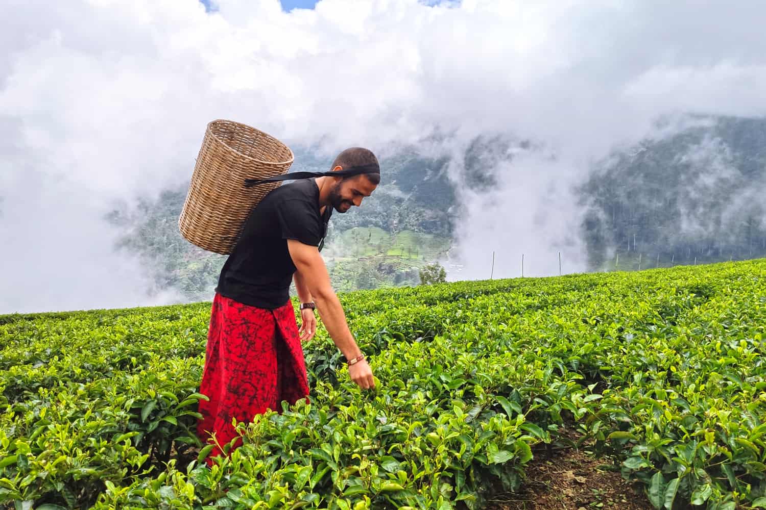 ella-nuwara-eliya-travel-guide-sri-lanka-tea-tea-and-tea