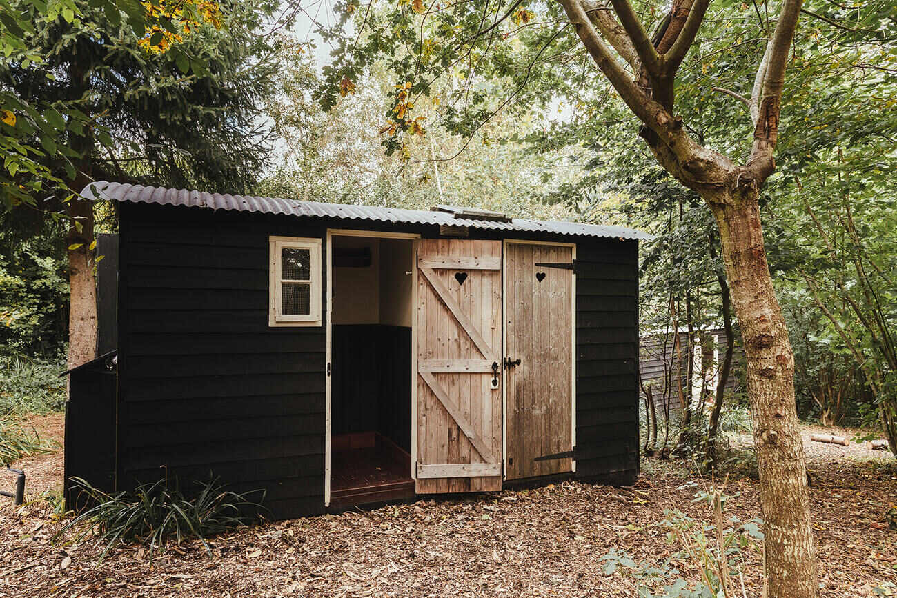 Glamping-In-Sussex-With-The-Original-Hut-Company glamping-in-sussex-with-the-original-hut-company
