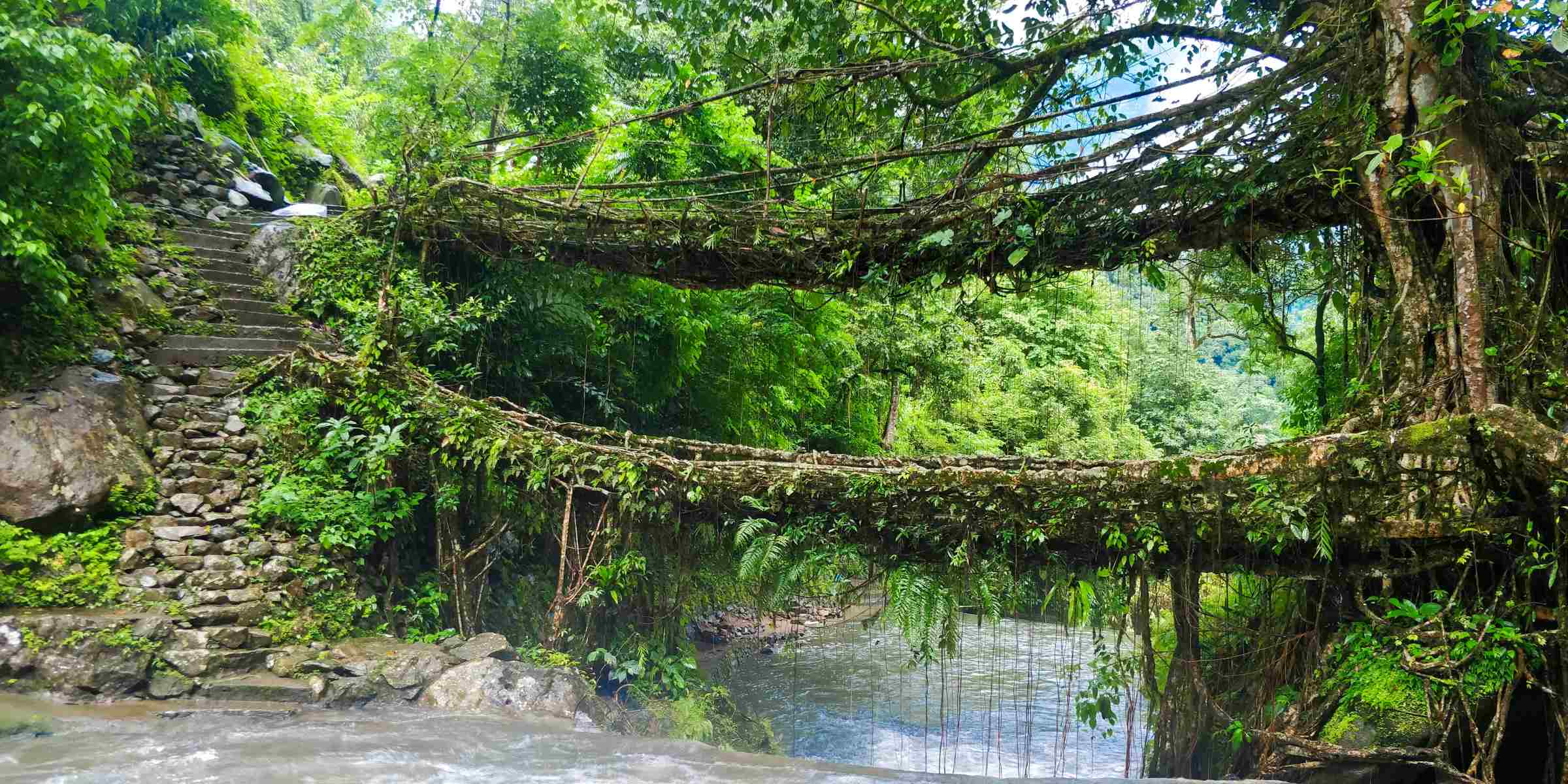Guide-To-Nongriat-And-The-Double-Decker-Root-Bridge guide-to-nongriat-and-the-double-decker-root-bridge