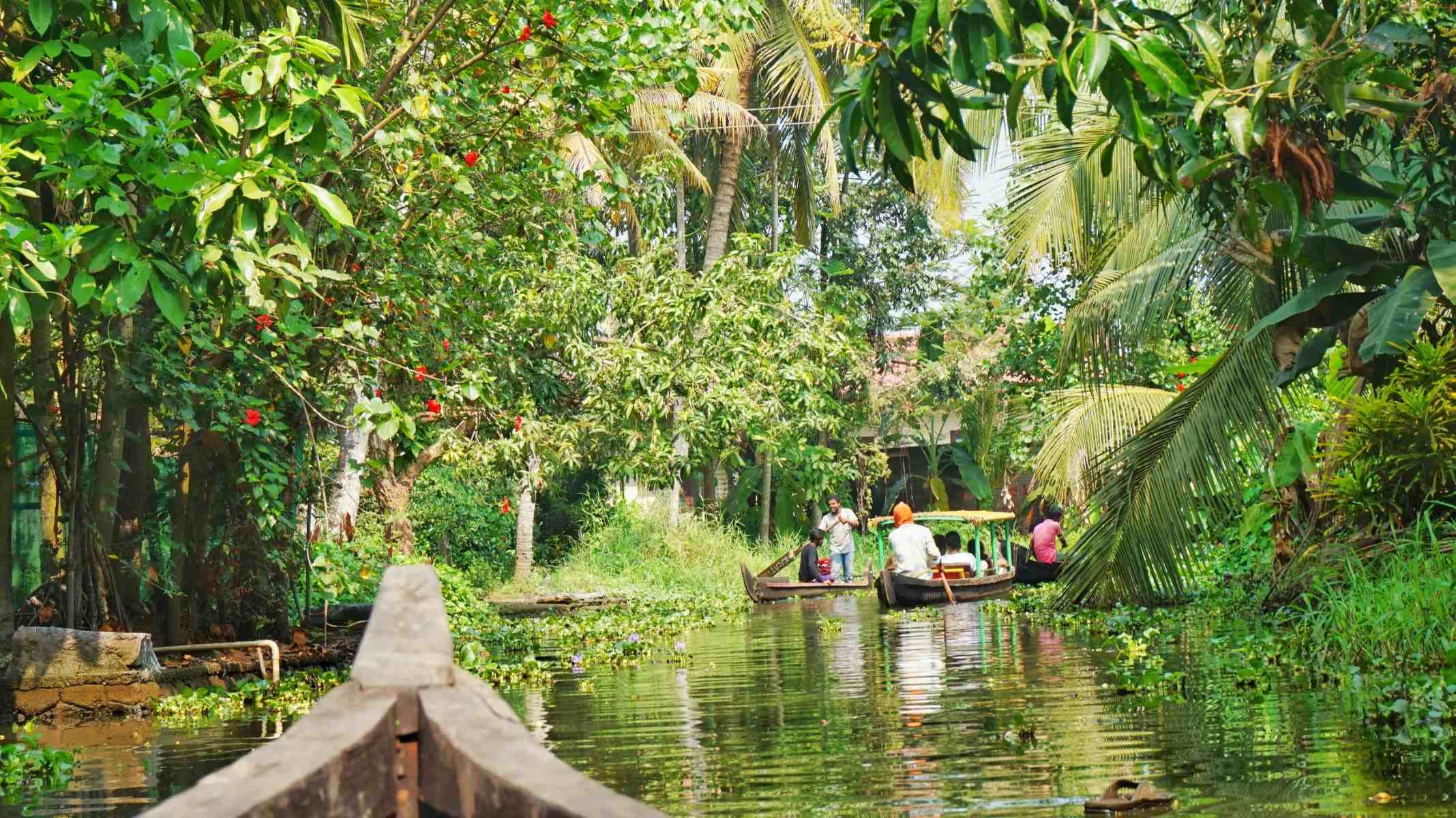 Guide-To-The-Alleppey-Backwaters-In-Kerala guide-to-the-alleppey-backwaters-in-kerala