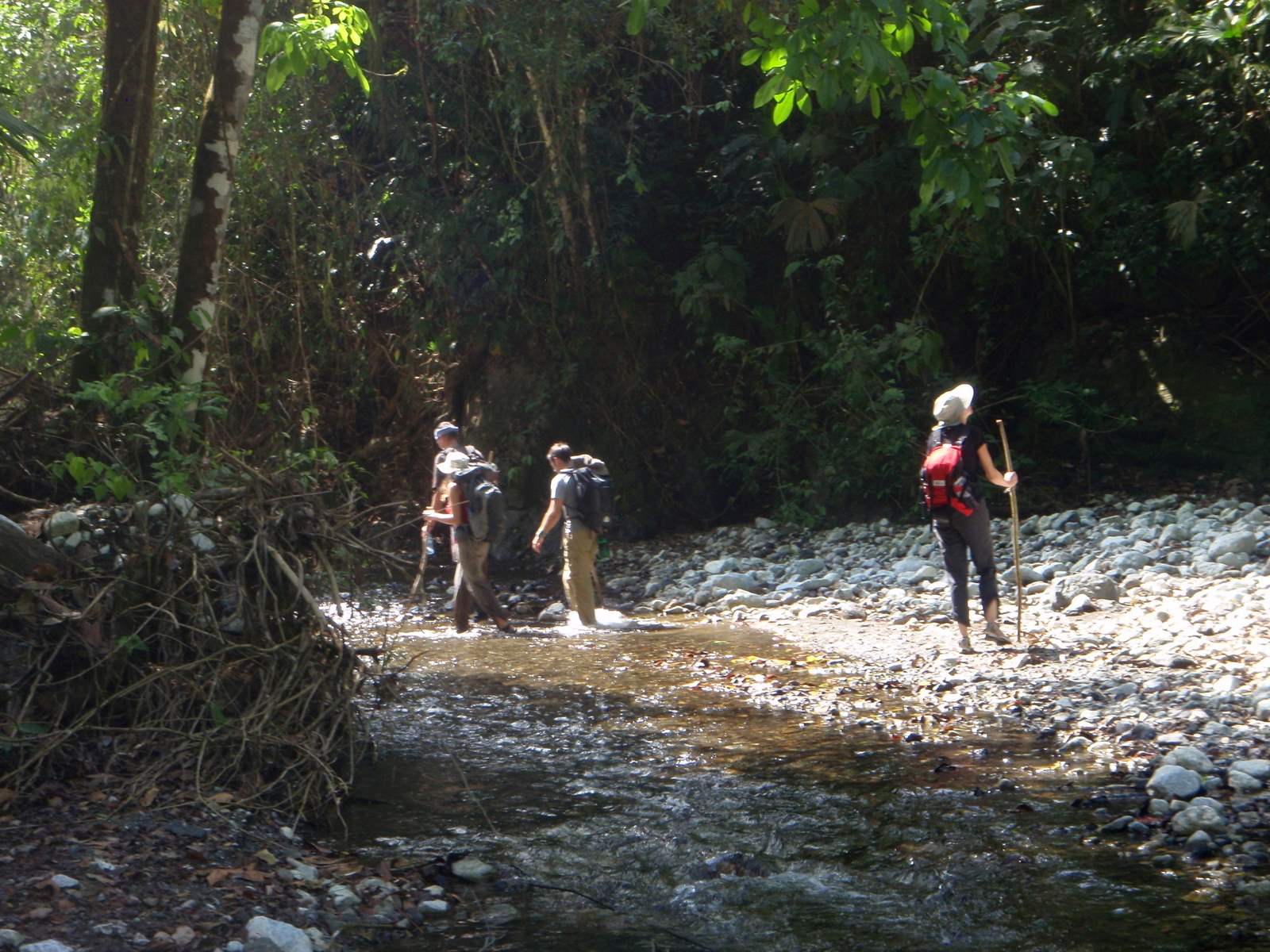 Hiking-Corcovado-National-Park-A-Wildlife-Adventure hiking-corcovado-national-park-a-wildlife-adventure