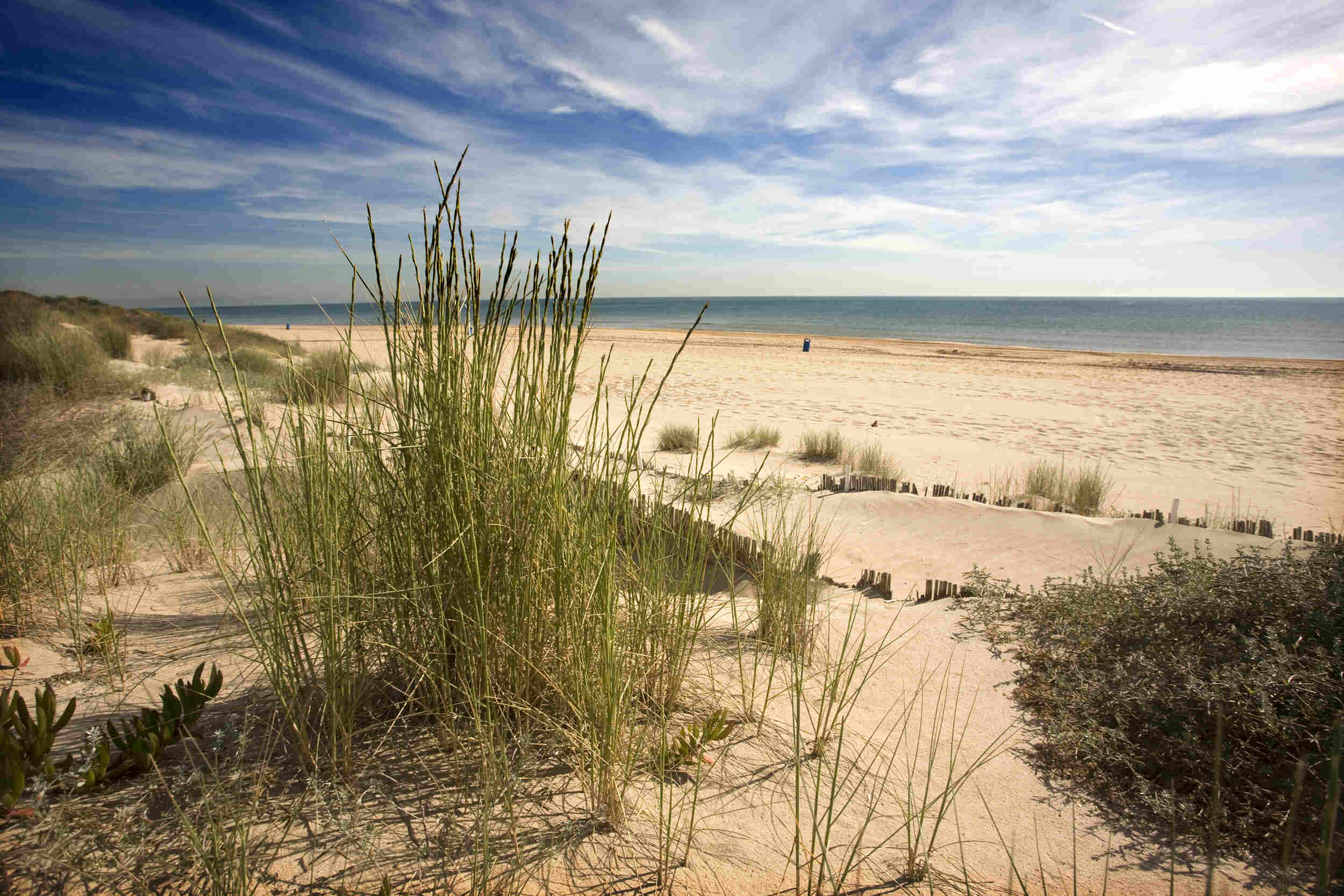 How-To-Get-To-Devesa-And-El-Saler-Beaches-By-Bus how-to-get-to-devesa-and-el-saler-beaches-by-bus