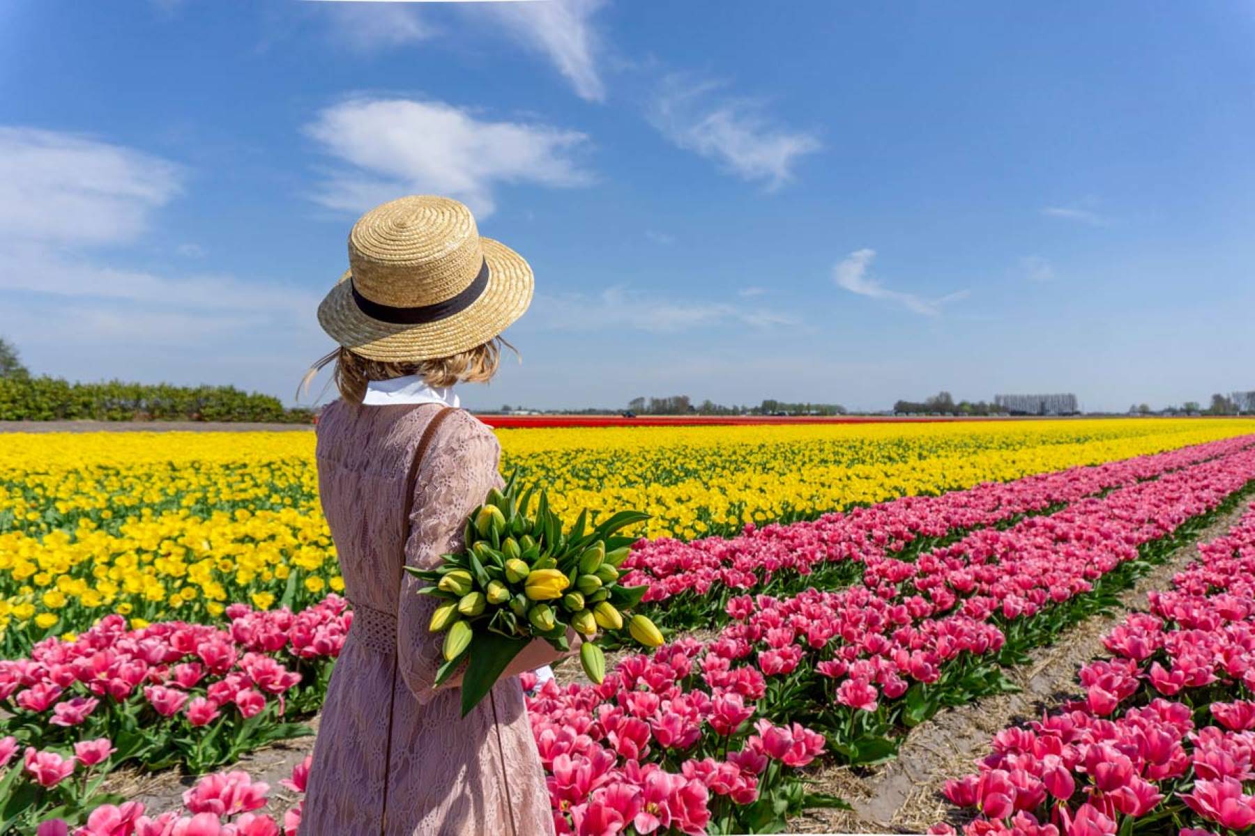 How-To-See-Tulips-In-The-Netherlands how-to-see-tulips-in-the-netherlands