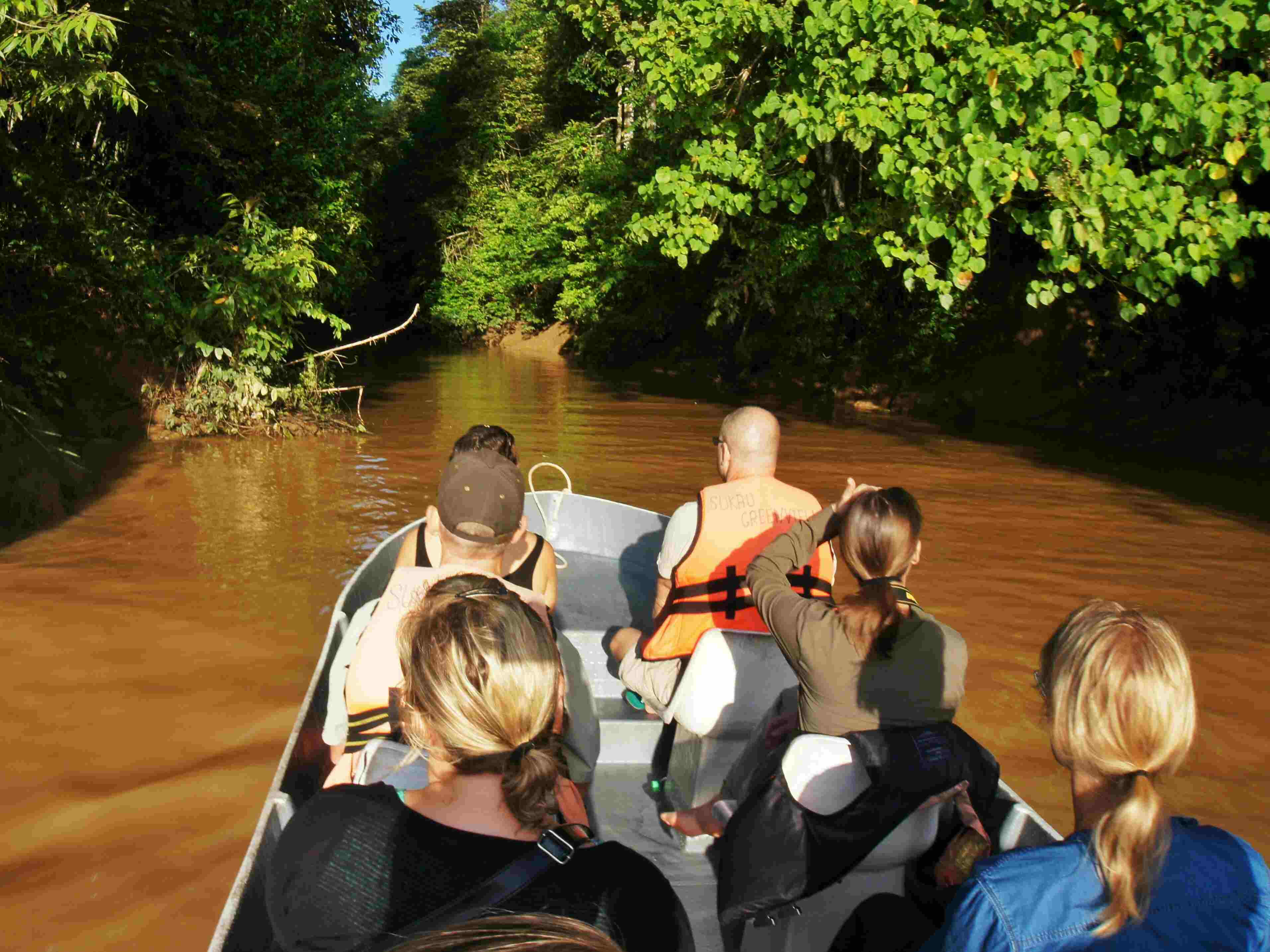 How-To-Take-The-BEST-Kinabatangan-River-Trip how-to-take-the-best-kinabatangan-river-trip