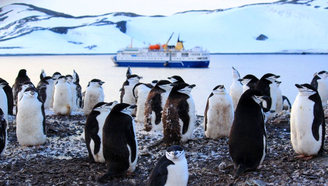 How-To-Travel-To-Antarctica how-to-travel-to-antarctica