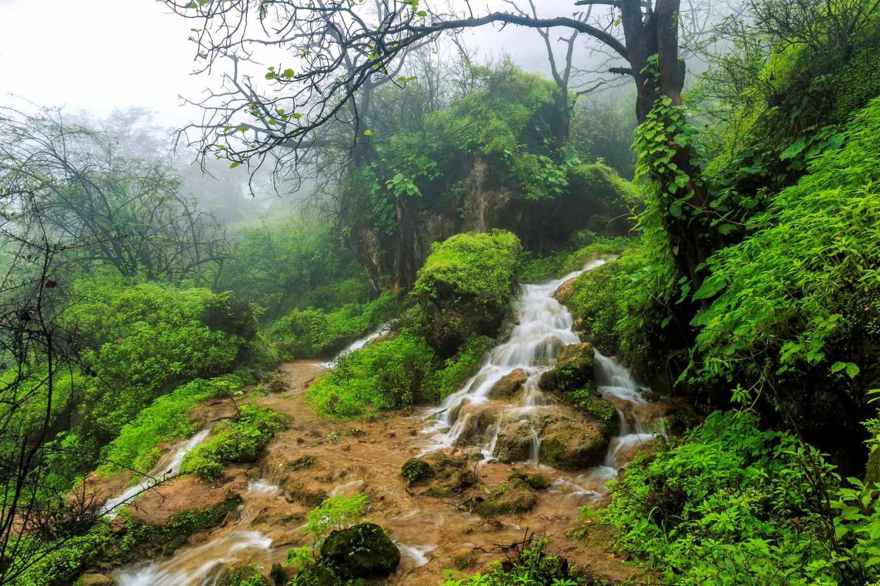 How-To-Visit-Salalah-And-The-Dhofar-Region-In-Oman how-to-visit-salalah-and-the-dhofar-region-in-oman