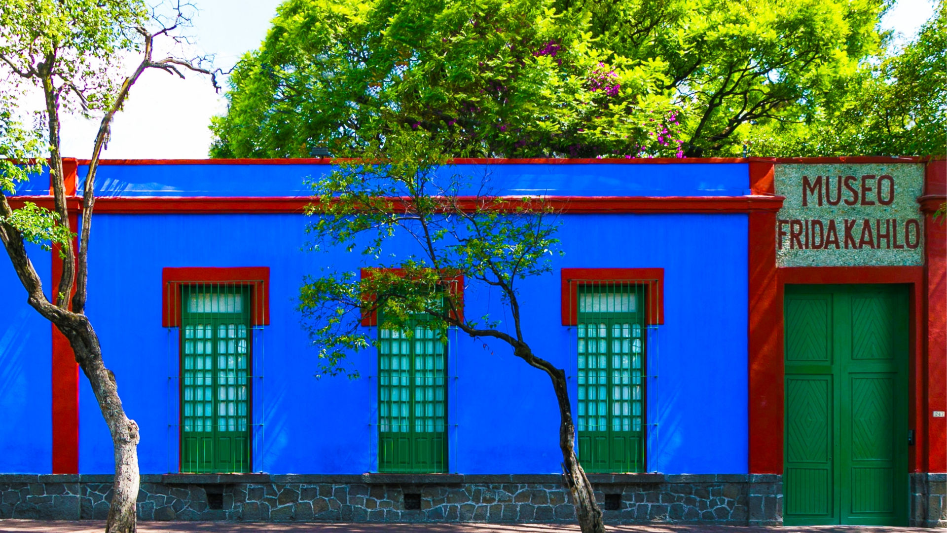 how-to-visit-the-frida-kahlo-museum-in-mexico-city