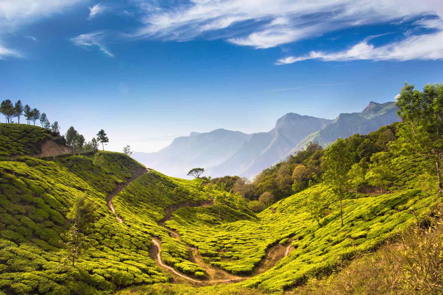 Kerala-8211-India8217s-Top-Destination-Jessie-On-A-Journey kerala-indias-top-destination-jessie-on-a-journey