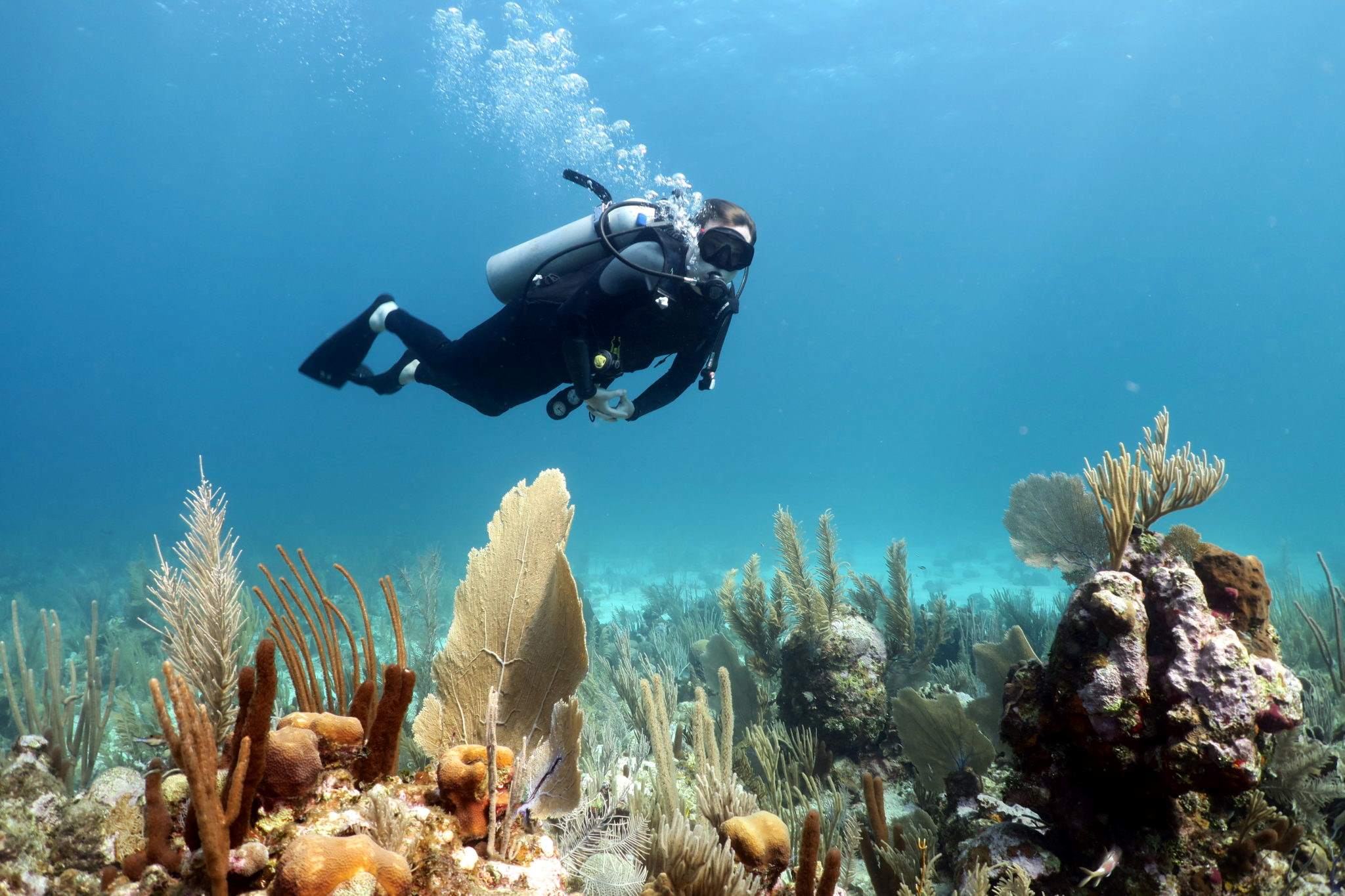 Learning-To-SCUBA-Dive-On-Utila learning-to-scuba-dive-on-utila
