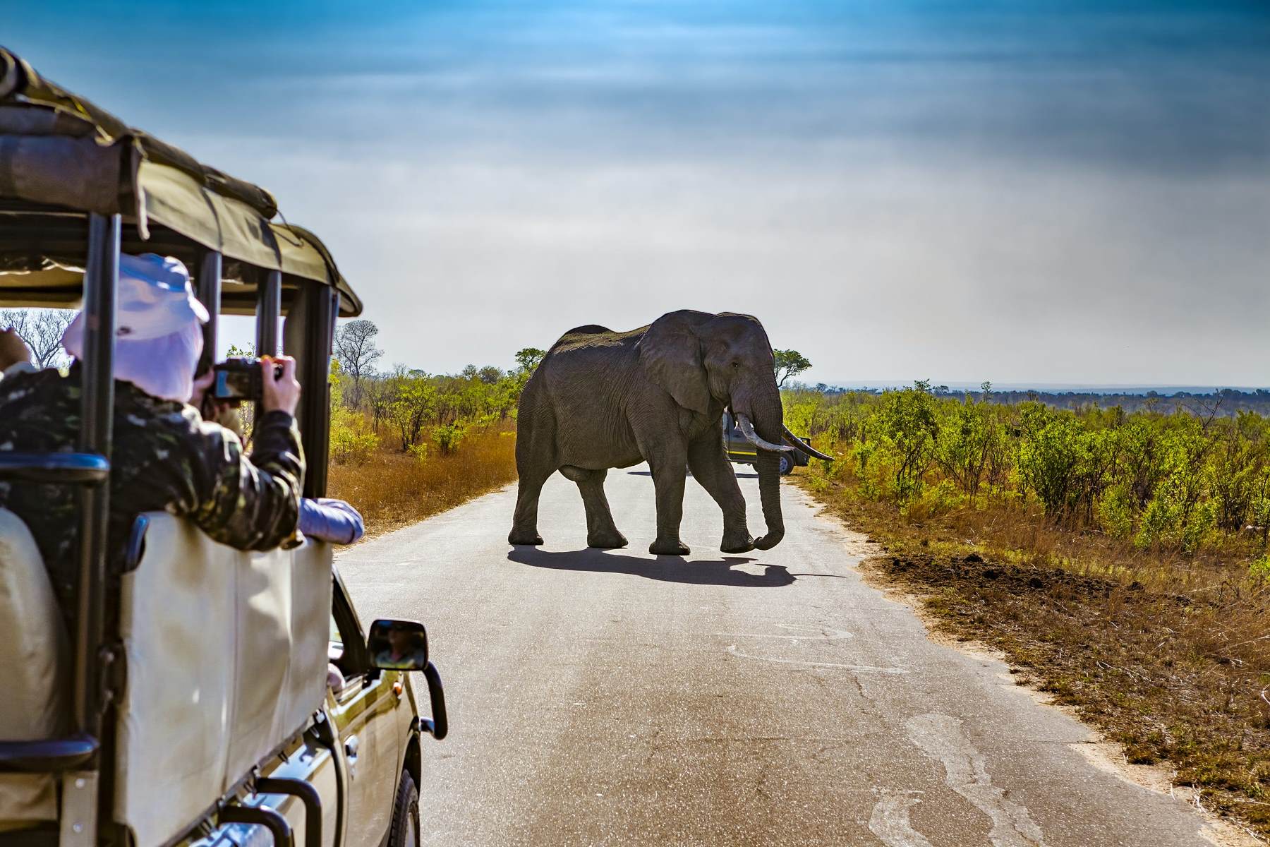 My-South-African-Safari-Phinda-Private-Game-Reserve my-south-african-safari-phinda-private-game-reserve