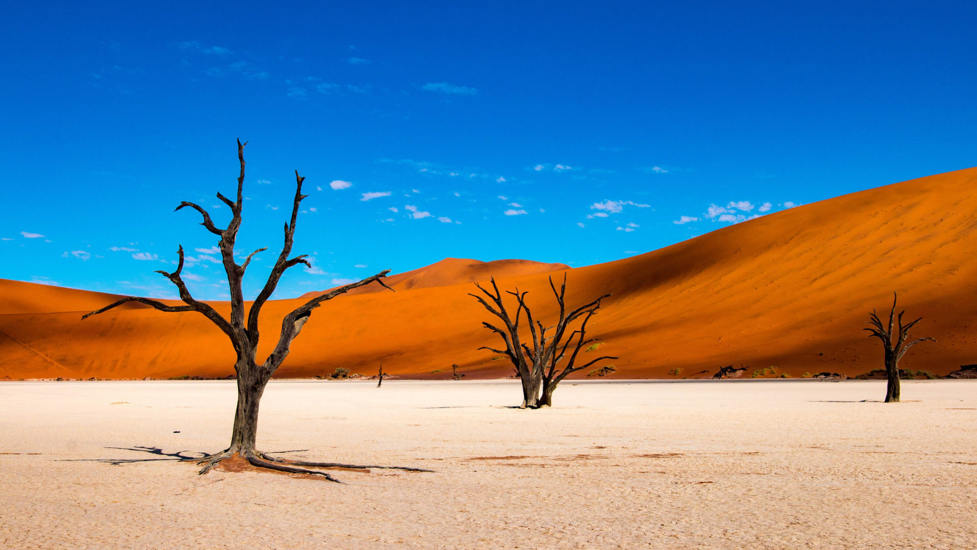 Namibia8217s-Sandy-Wonderland-The-Dunes-Of-Sossusvlei namibias-sandy-wonderland-the-dunes-of-sossusvlei
