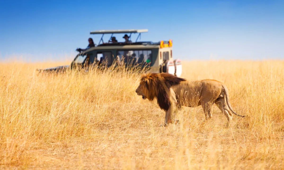 our-top-10-essential-african-safari-tips