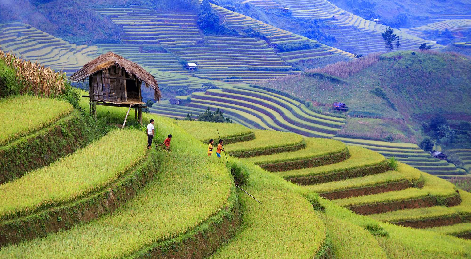 sapa-trekking-rice-terraces-and-staying-with-hill-tribes