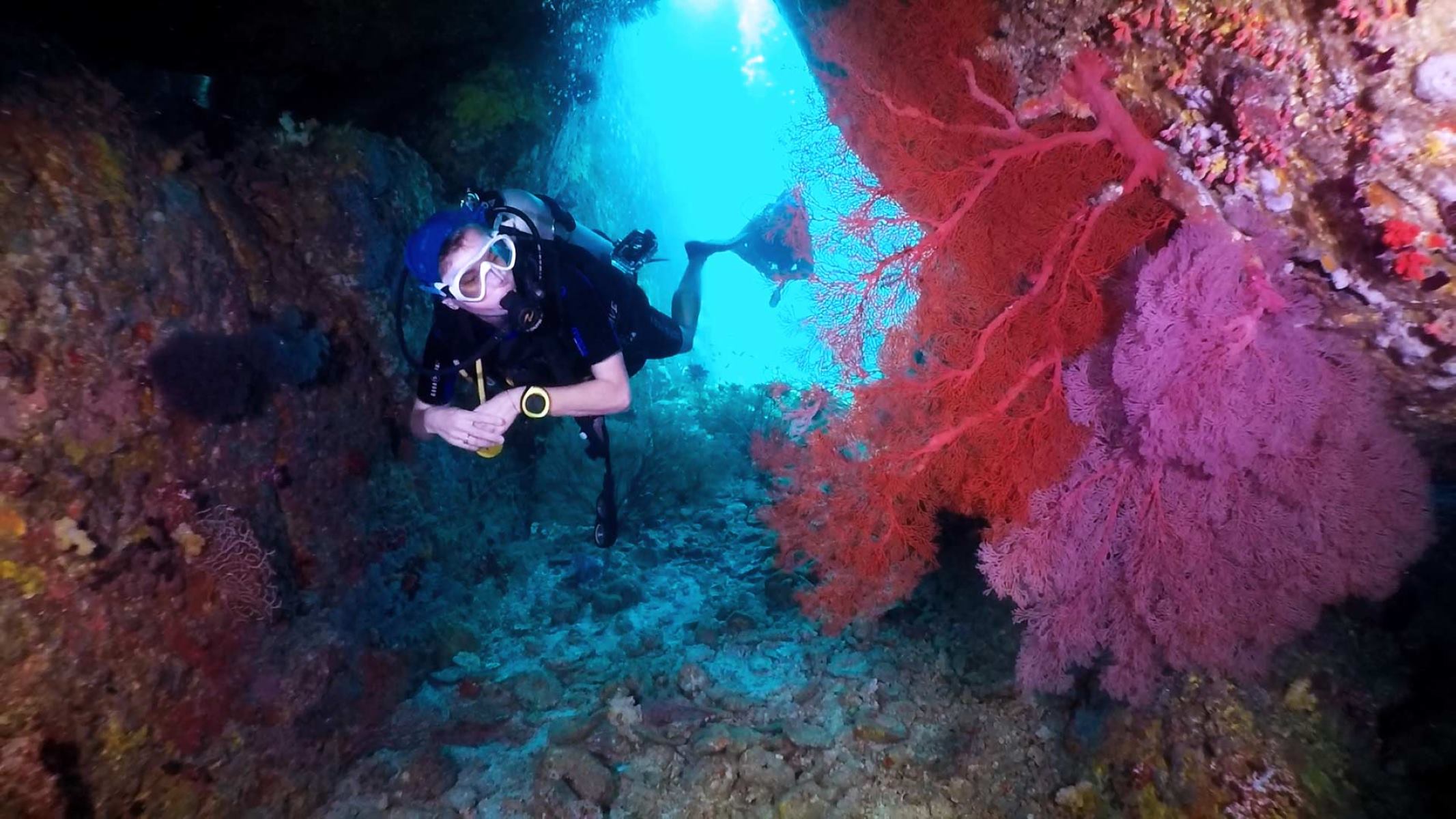 Scuba-Diving-The-Similan-Islands scuba-diving-the-similan-islands