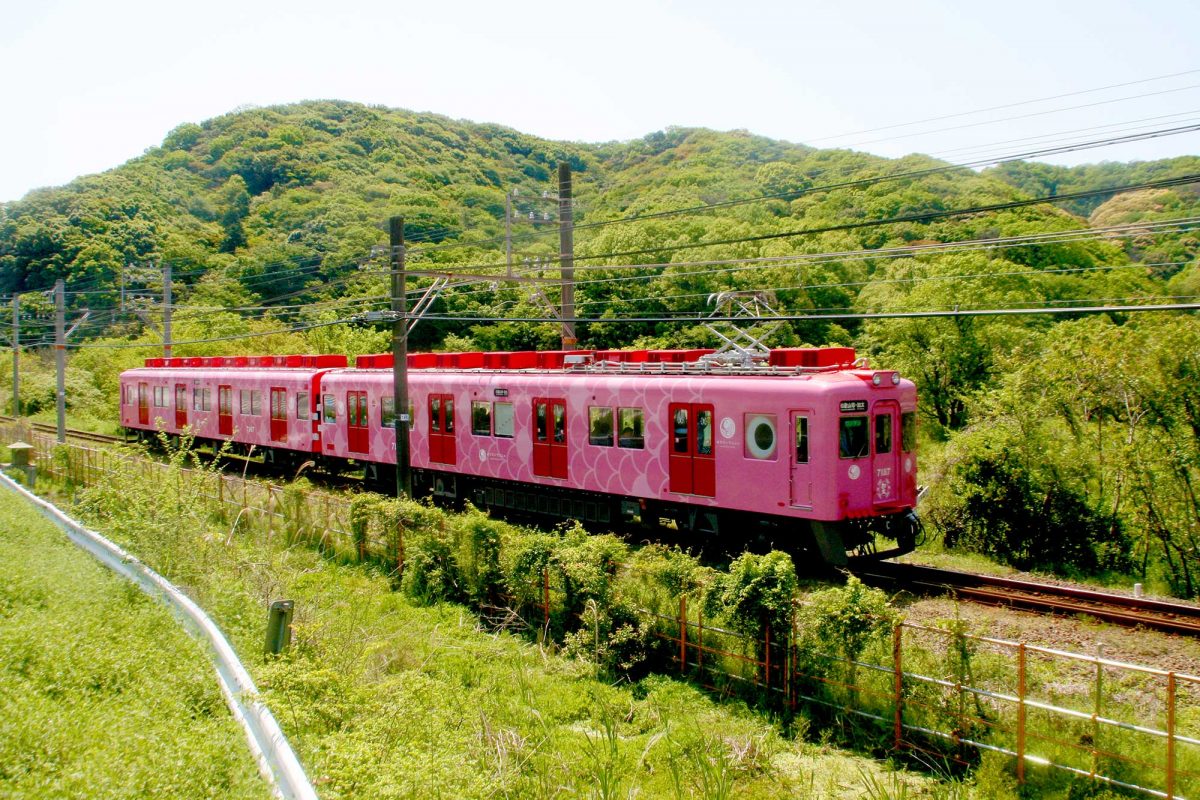 Sightseeing-Medetai-Train-Kada-Sakana-Line-Travel-Guide sightseeing-medetai-train-kada-sakana-line-travel-guide