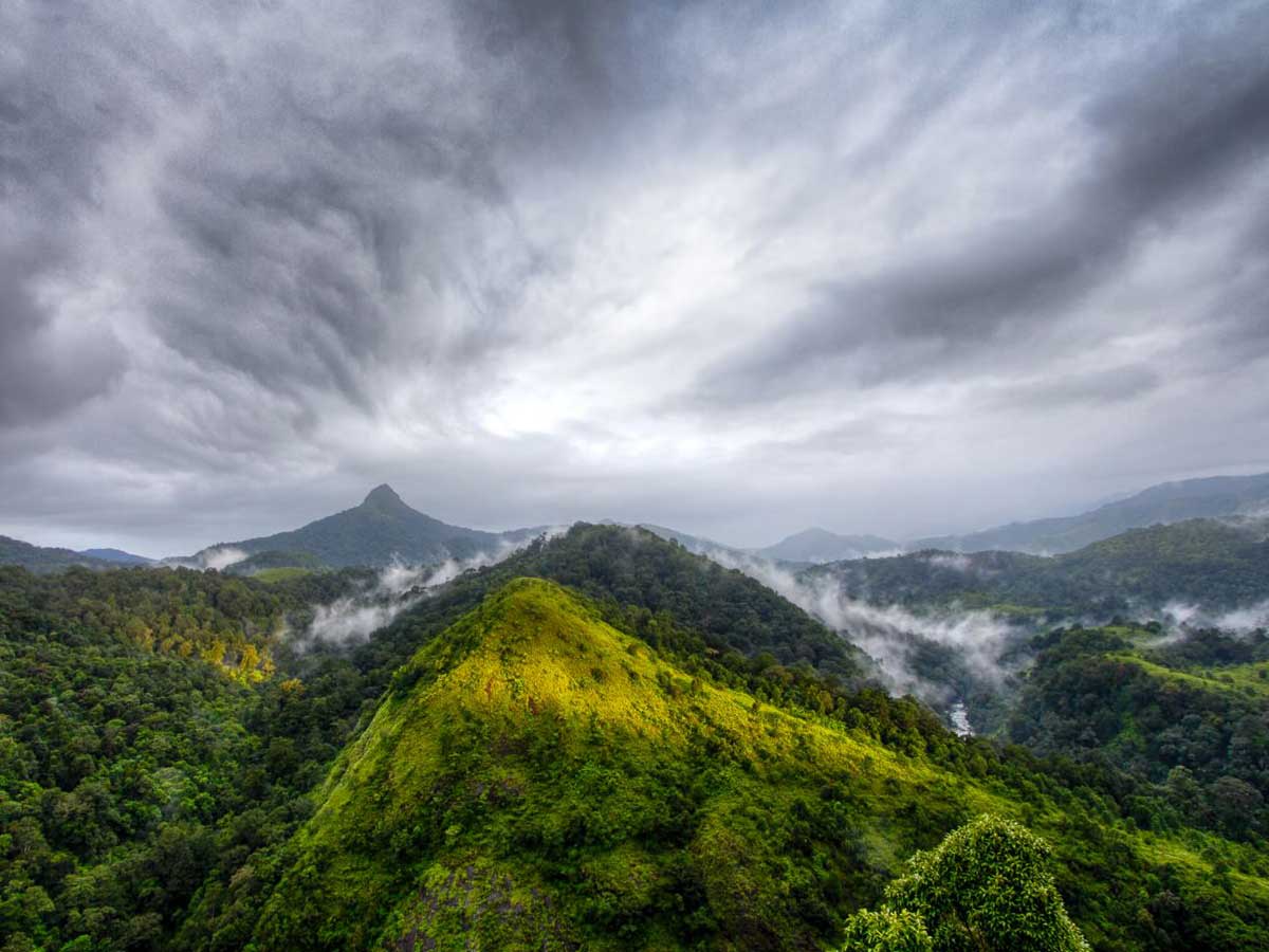 silent-valley-national-park-india-hiking-kerala-adventures