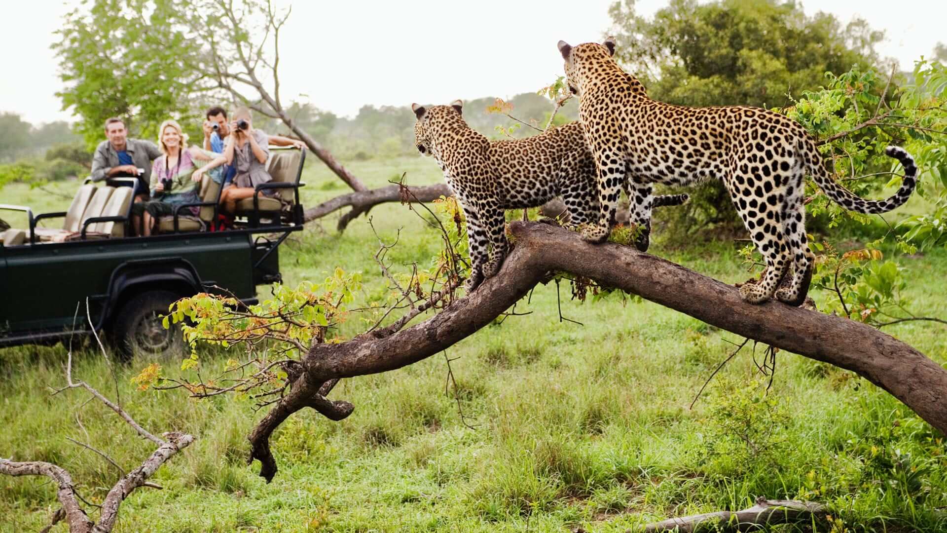 South-Africa-Adventure-Travel-Jessie-On-A-Journey south-africa-adventure-travel-jessie-on-a-journey