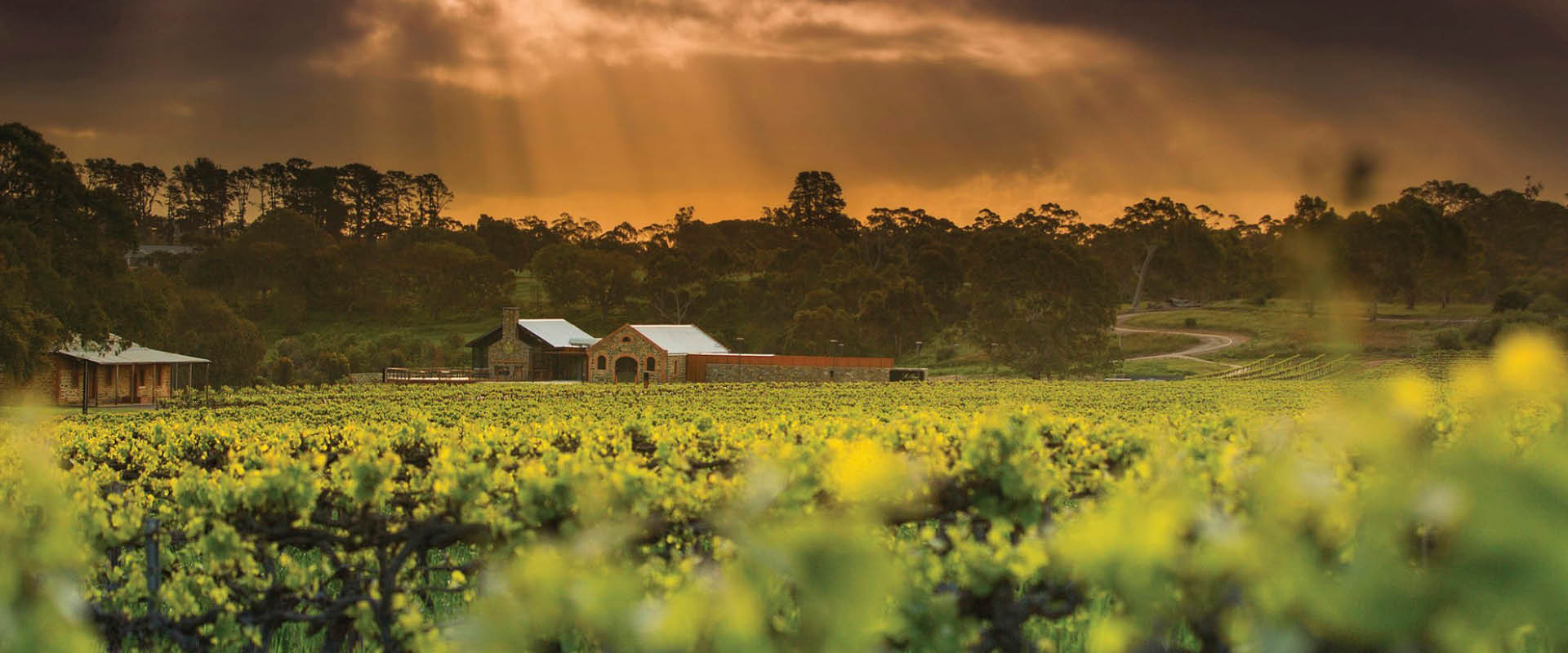 South-Australia-Beyond-The-Barossa-An-Epicurious-Experience-In-Adelaide-Hills south-australia-beyond-the-barossa-an-epicurious-experience-in-adelaide-hills