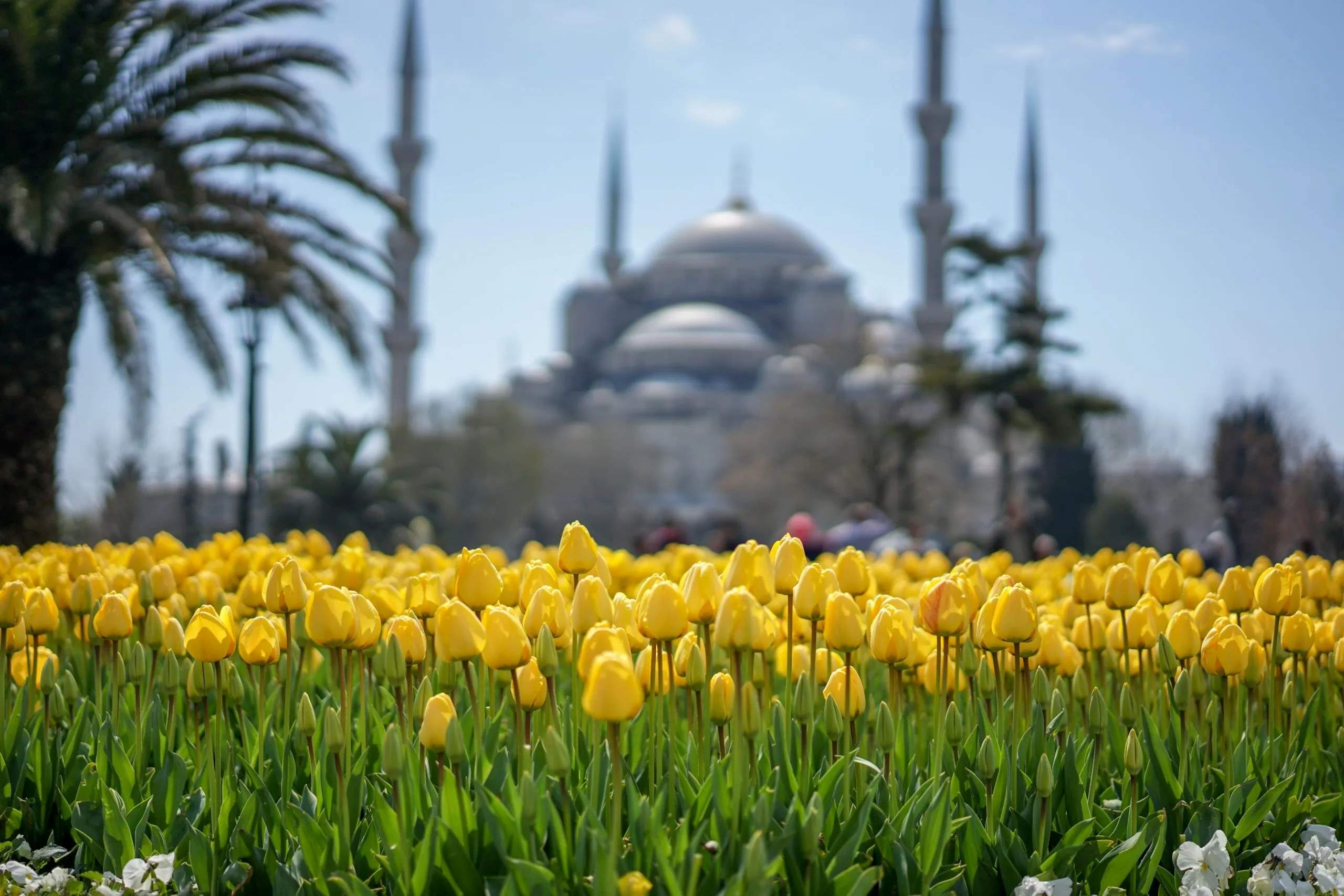Summer-2020-In-Turkey-Three-Must-Visit-Destinations summer-2020-in-turkey-three-must-visit-destinations