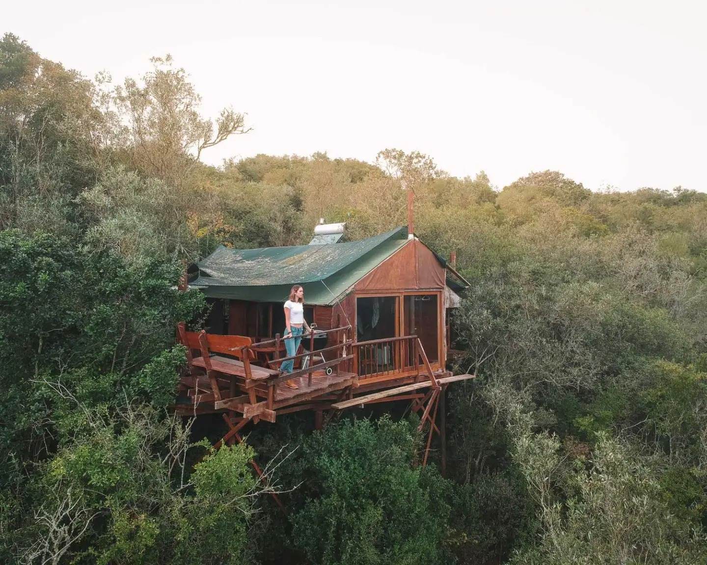 Sustainable-Travel-In-South-Africa-Living-Among-The-Trees-In-Knysna sustainable-travel-in-south-africa-living-among-the-trees-in-knysna