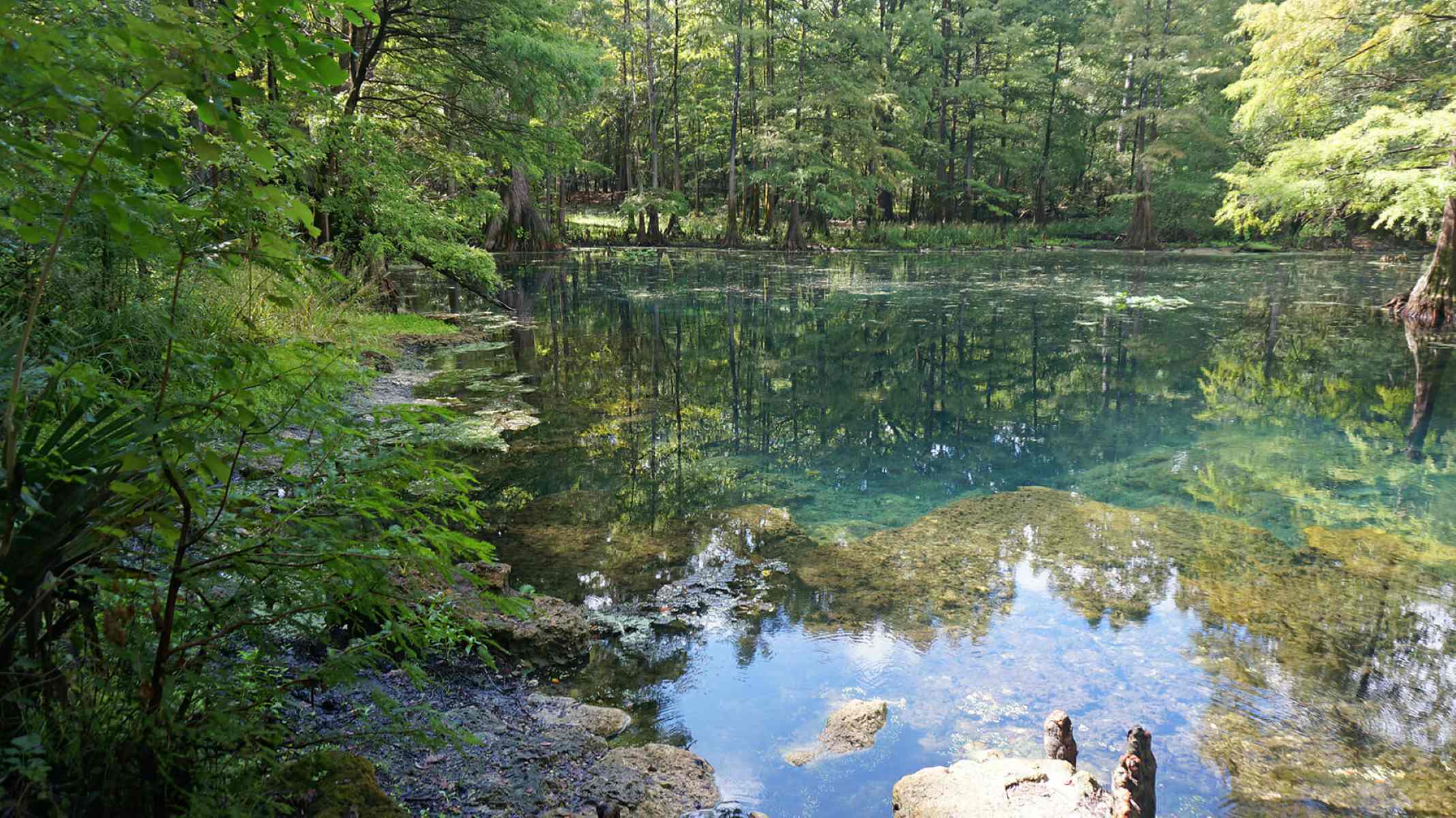 suwannee-springs-florida-the-oldest-spring-in-florida