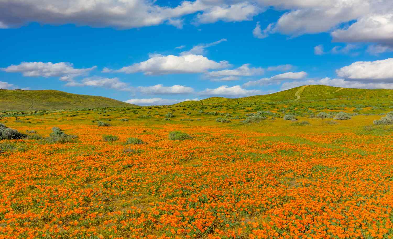 The-10-Best-Things-To-Do-In-California-In-March-8211-Be-My-Travel-Muse the-10-best-things-to-do-in-california-in-march-be-my-travel-muse