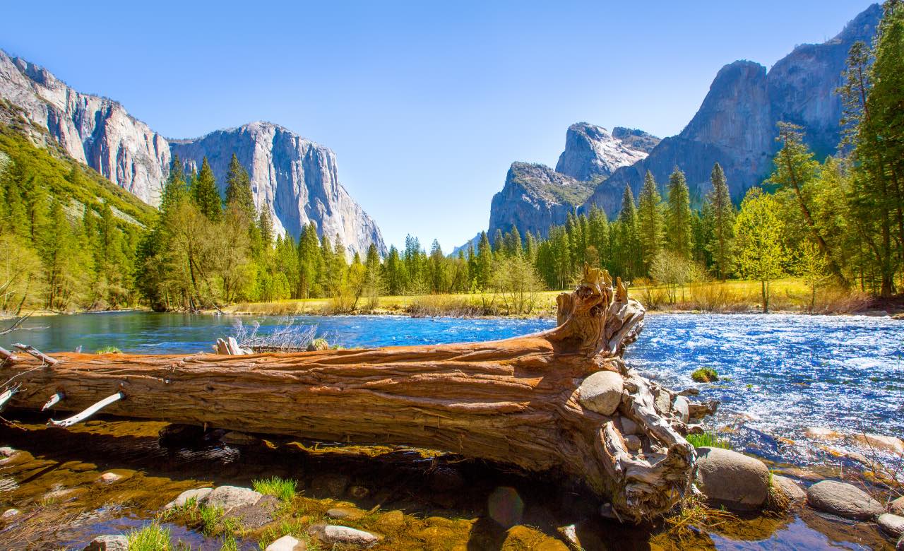 The-Best-Things-To-Do-In-Sequoia-and-Kings-Canyon-National-Park the-best-things-to-do-in-sequoia-and-kings-canyon-national-park
