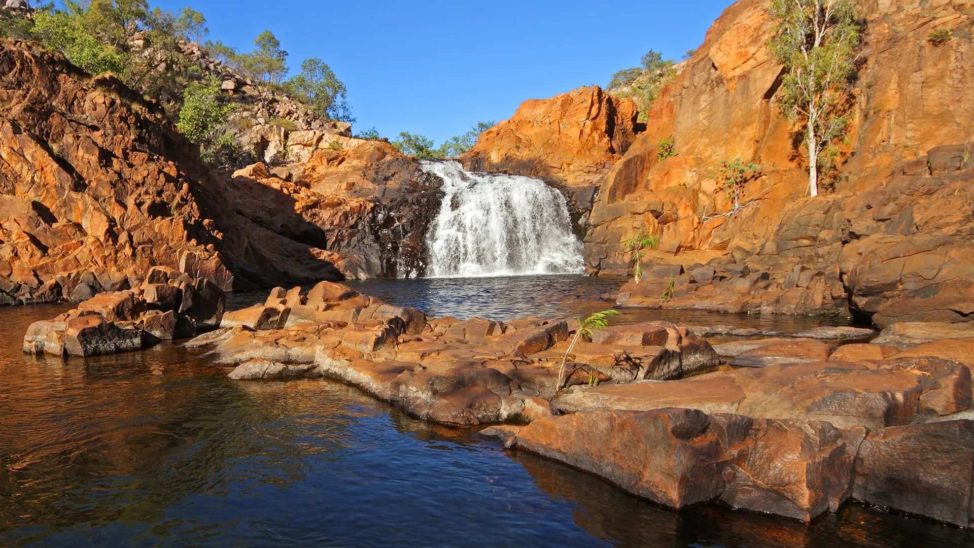 The-Brutal-World-Of-Kakadu-National-Park the-brutal-world-of-kakadu-national-park