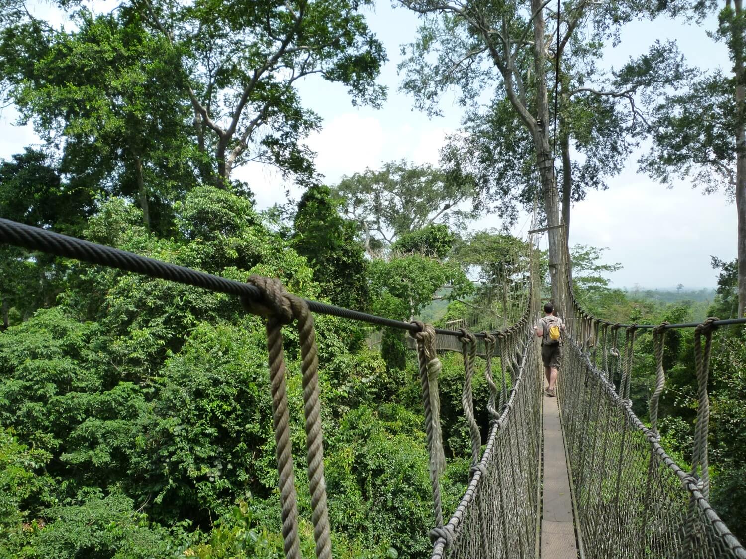 the-canopy-walk-at-kakum-national-park-in-ghana